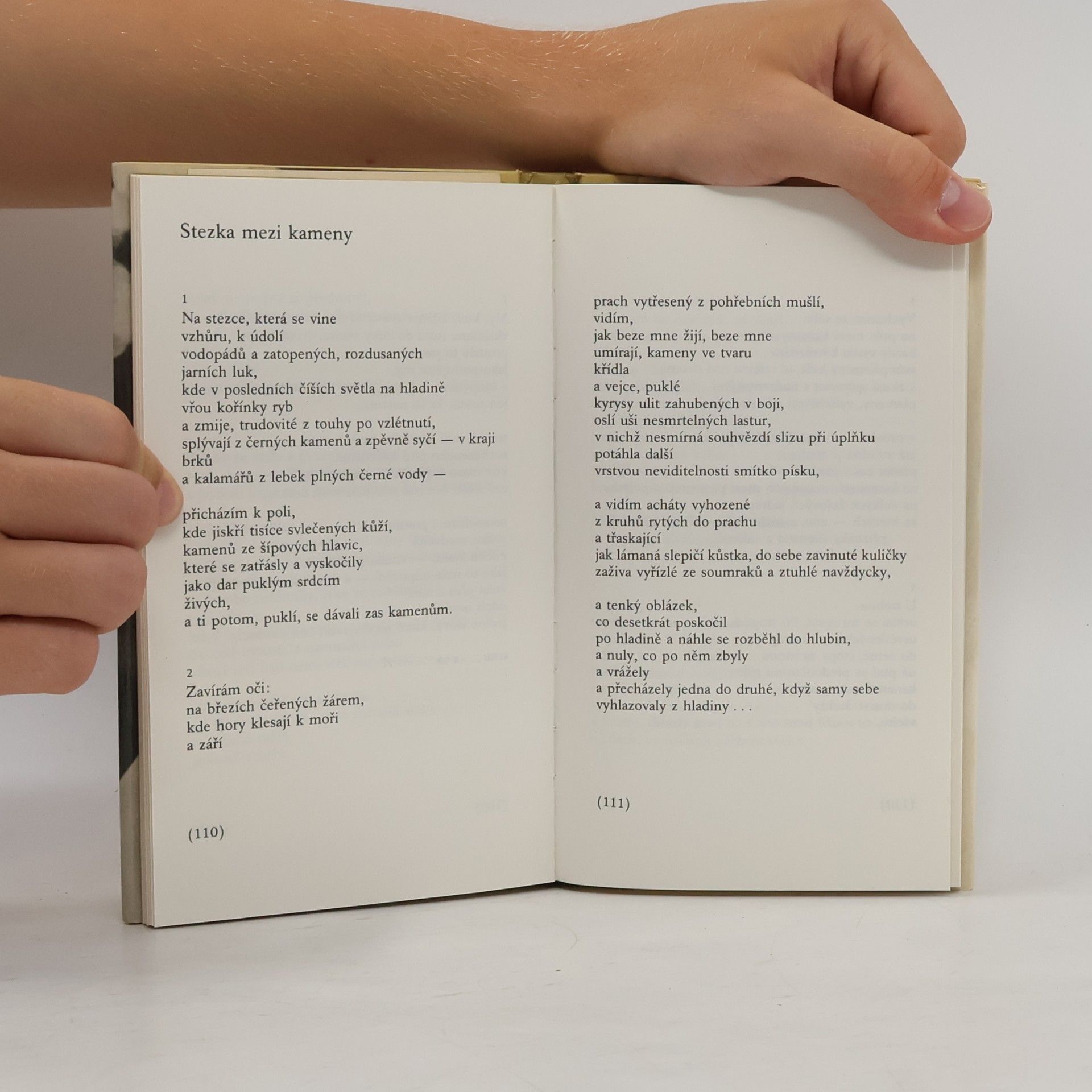 Galway Kinnell Věci, o kterých s nikým nemluvím