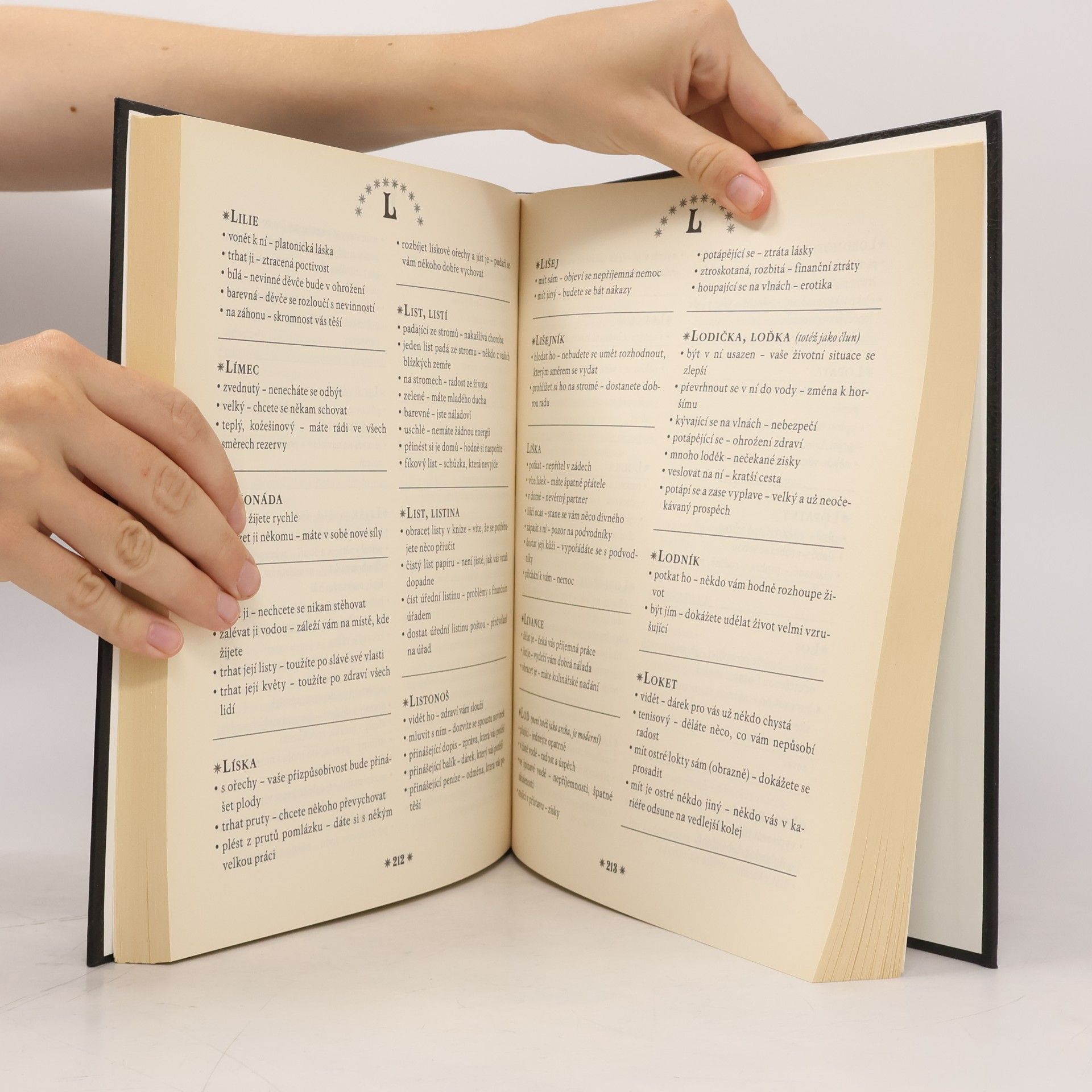 Autorenkollektiv Velký snář. Více než 10 000 hesel