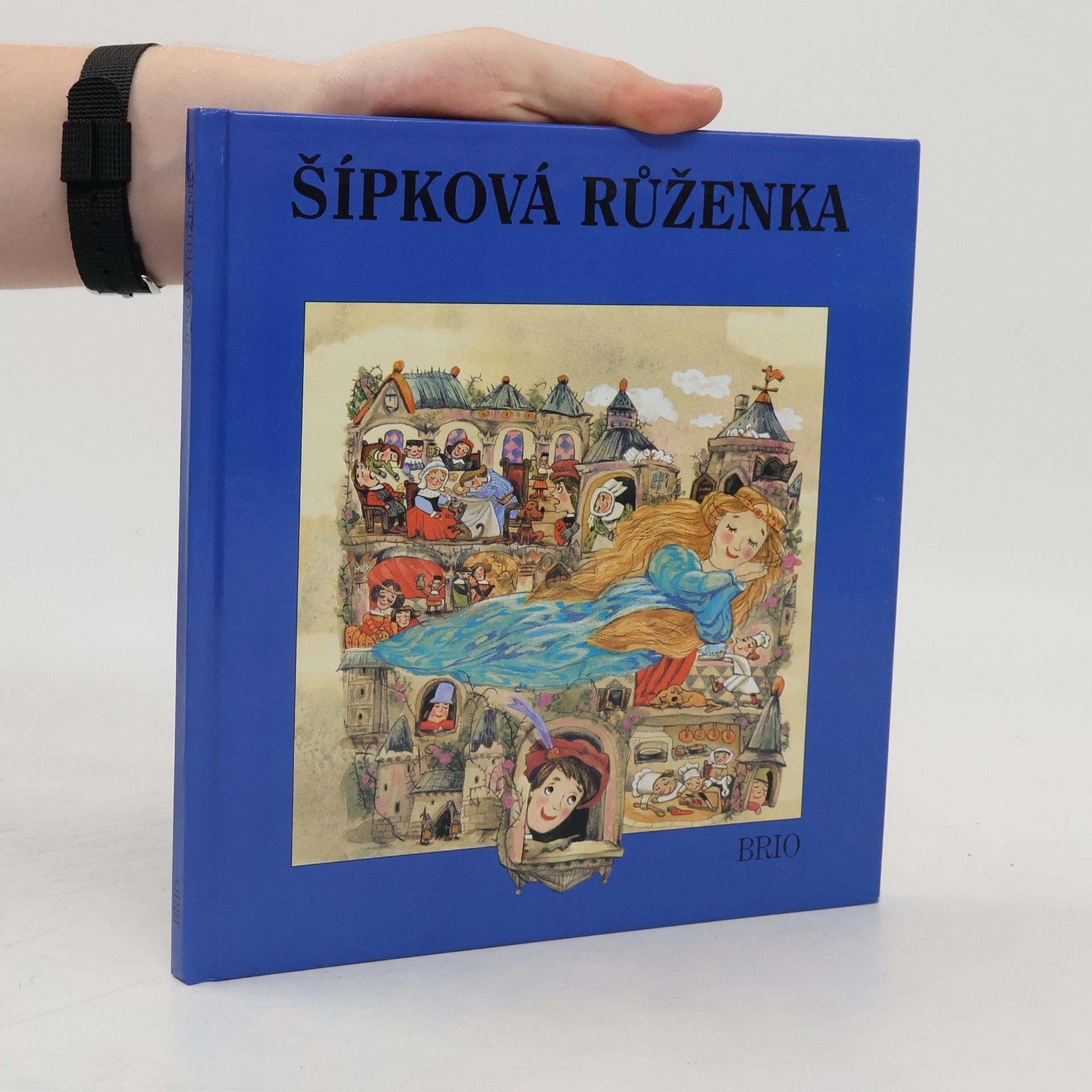 Šípková Růženka