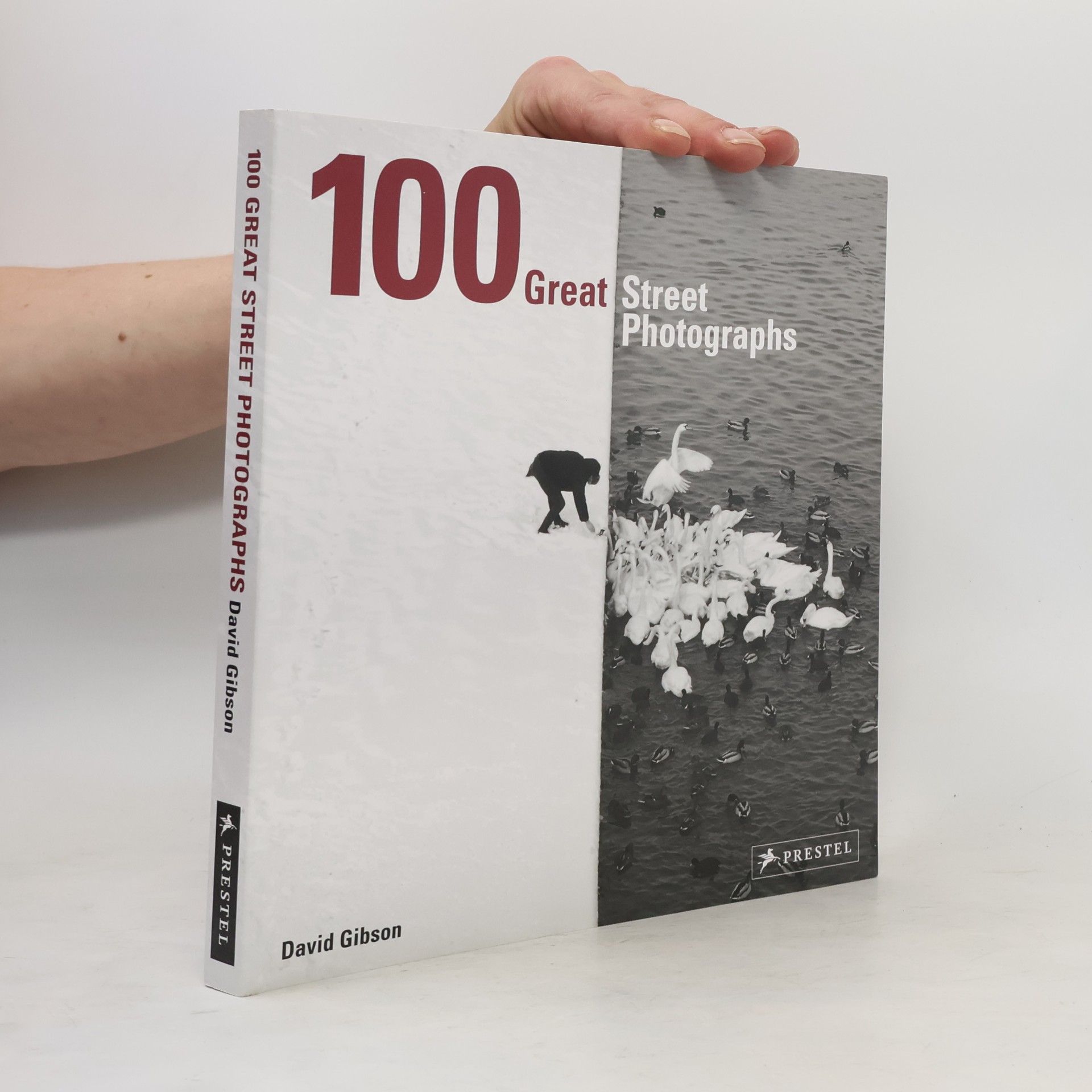 David Gibson 100 Great Street Photographs: Paperback Edition