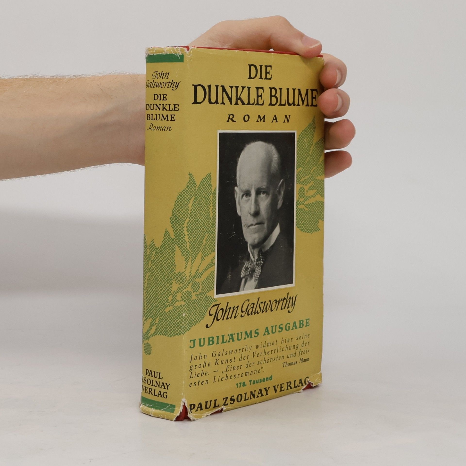 John Galsworthy Die dunkle Blume