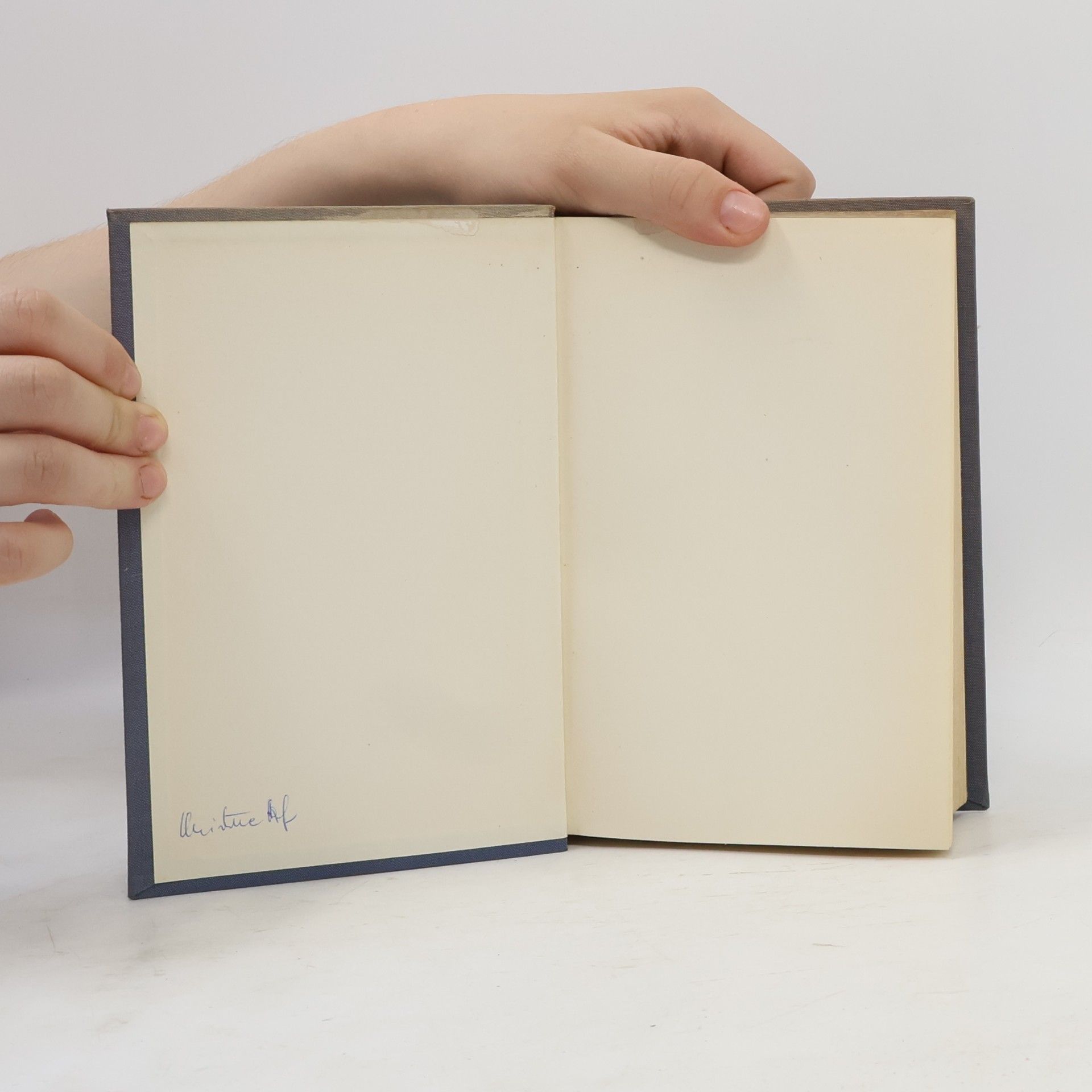 Sinclair Lewis Der Gottsucher