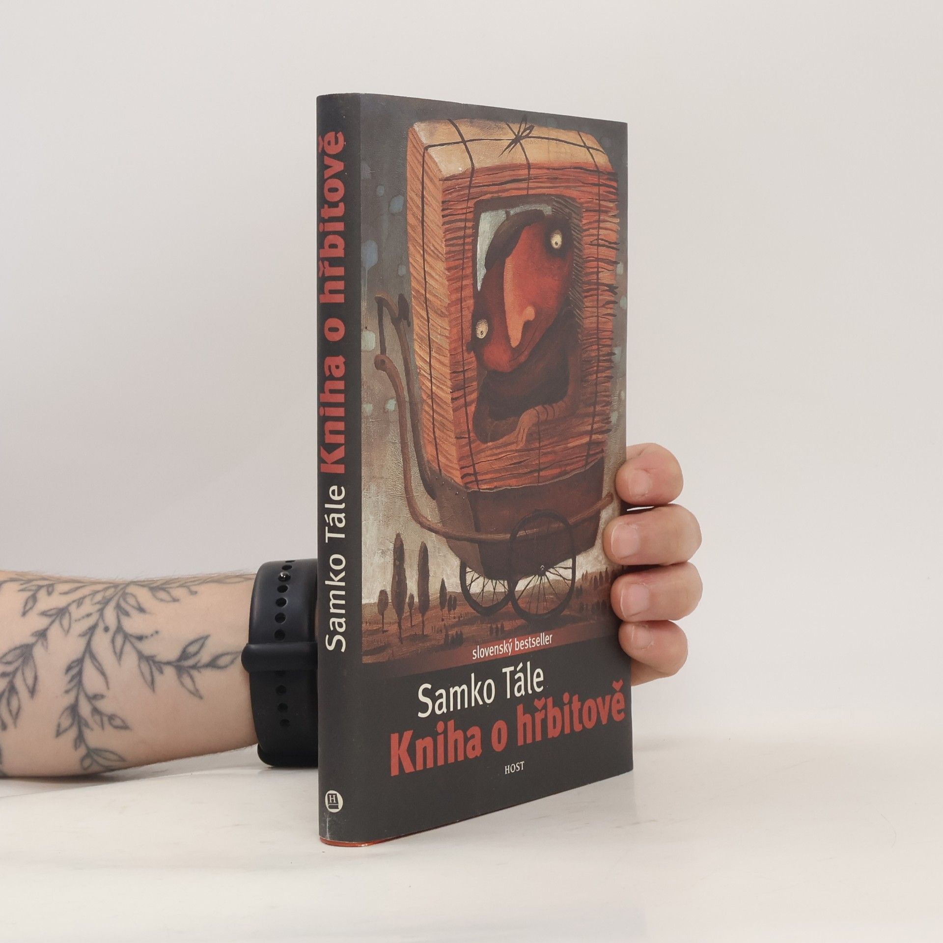 Daniela Kapitáňová Kniha o hřbitově
