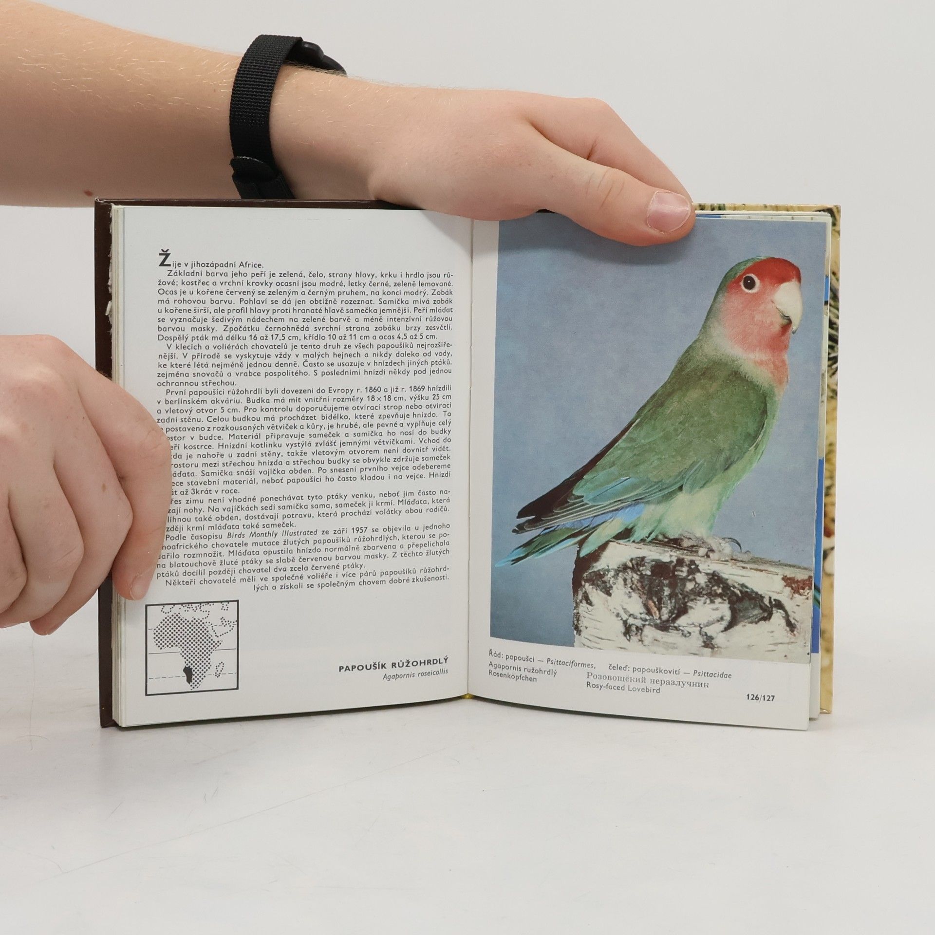 Zdeněk Veger Kapesní atlas cizokrajných ptáků