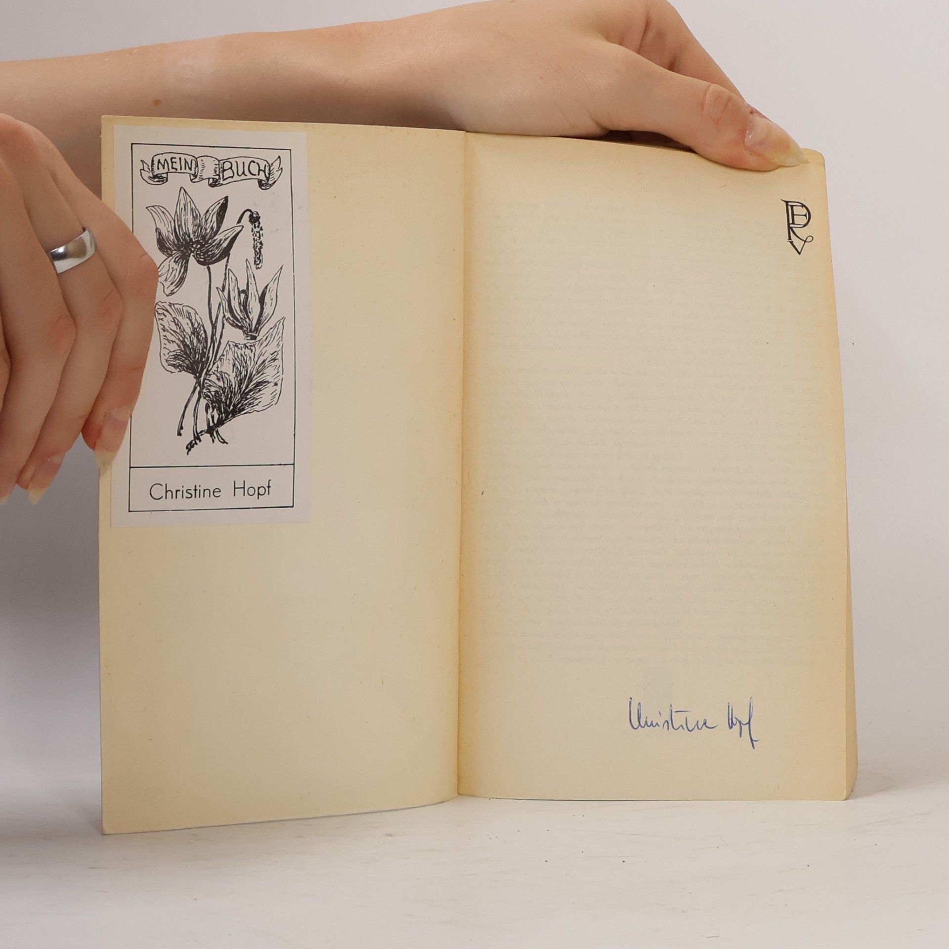 Elio Vittorini Die Frauen von Messina