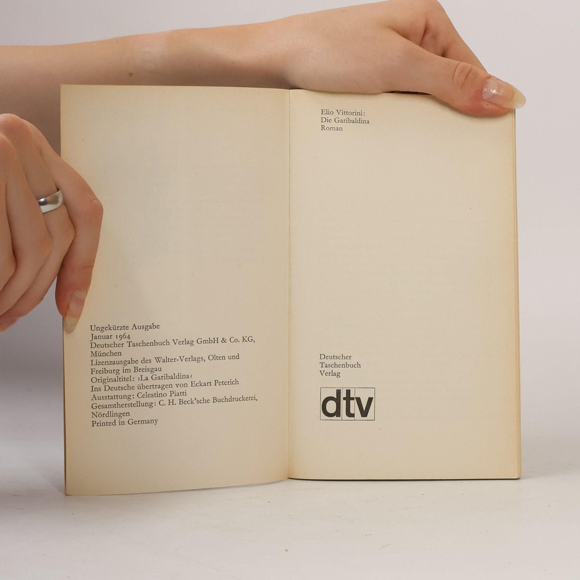Elio Vittorini Die Garibaldina