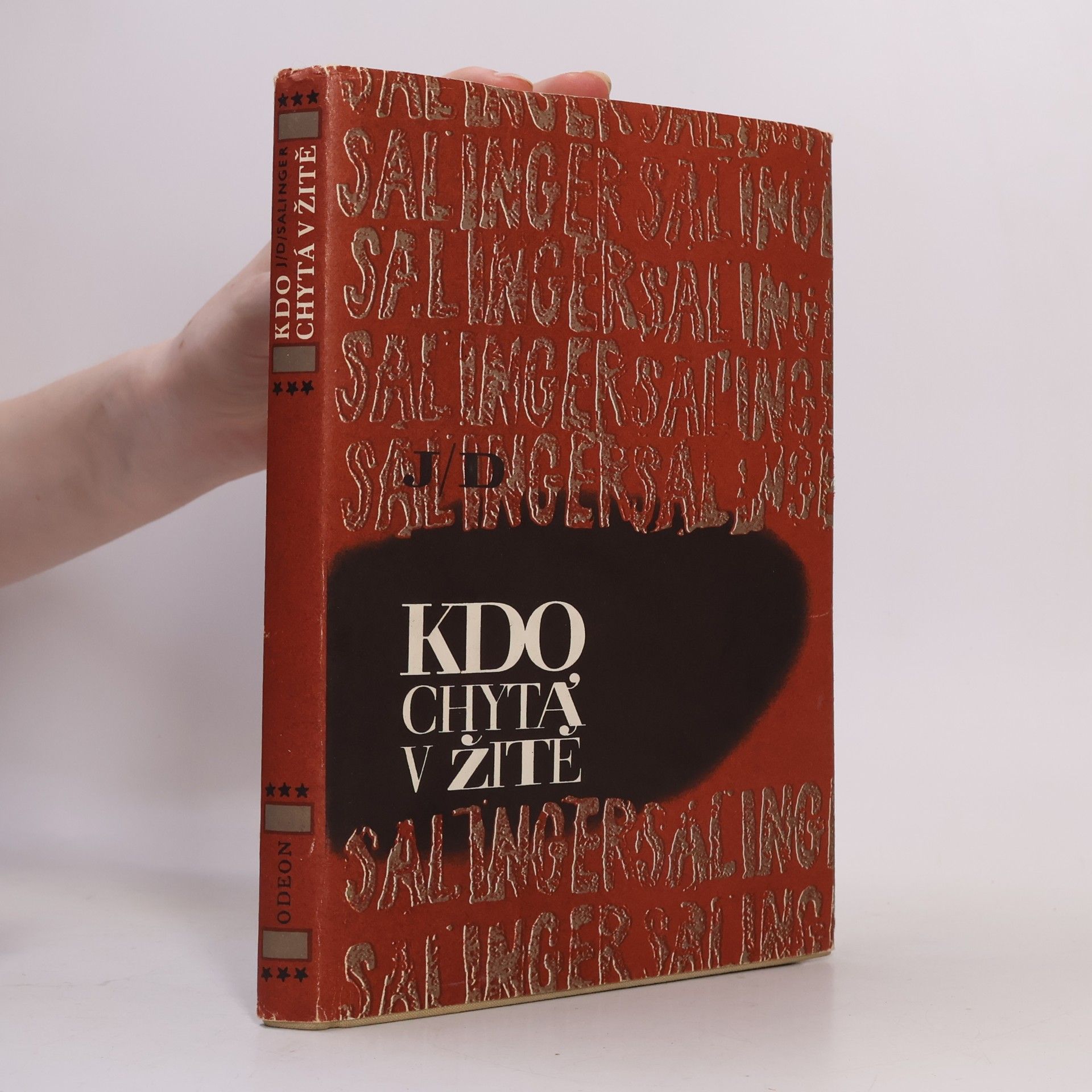 J. D. Salinger Kdo chytá v žitě