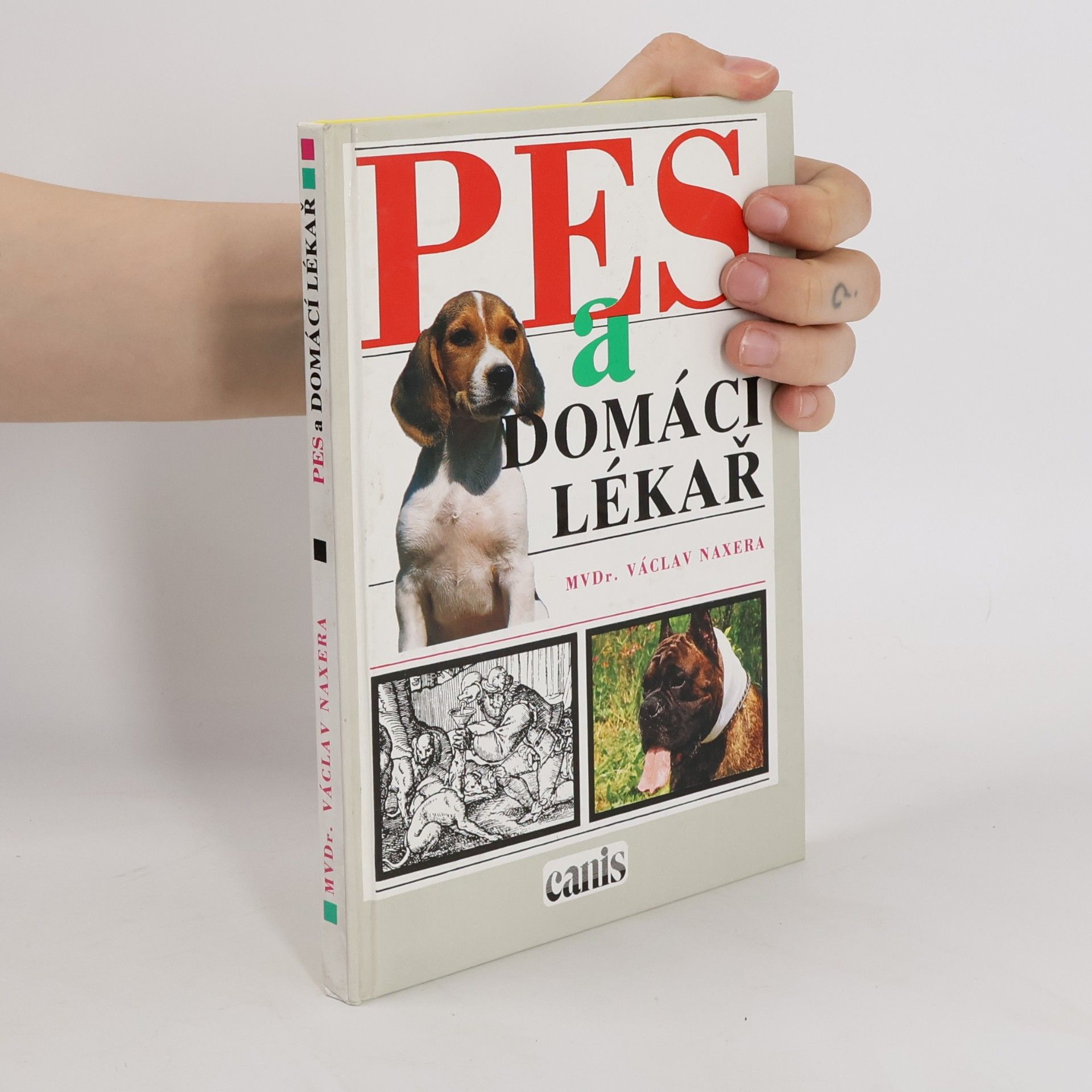 Pes a domácí lékař