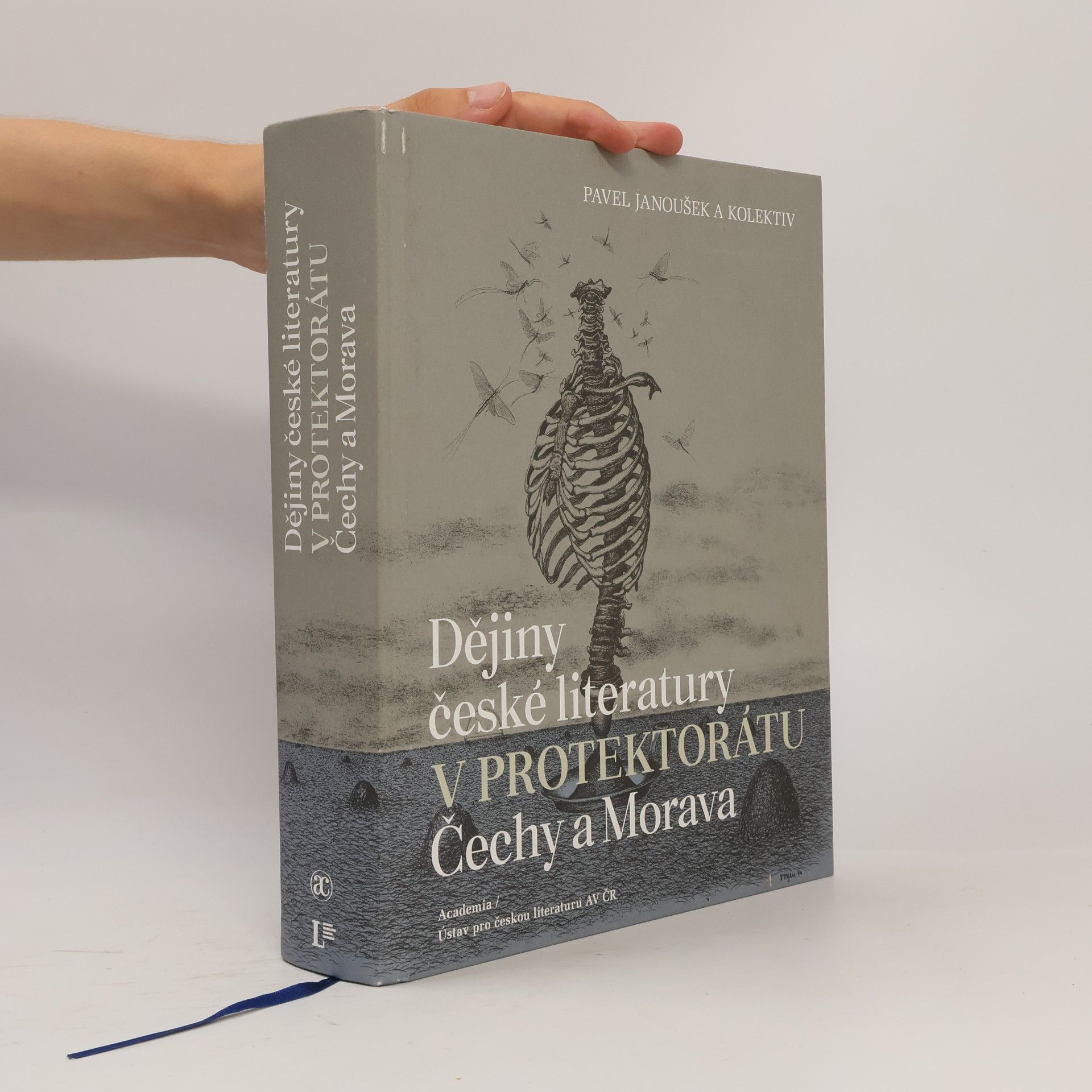 Dějiny české literatury v Protektorátu Čechy a Morava