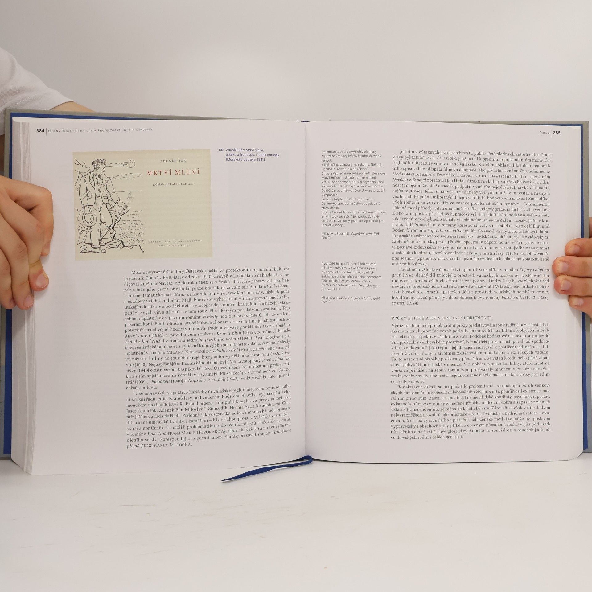 Hana Málková Dějiny české literatury v Protektorátu Čechy a Morava
