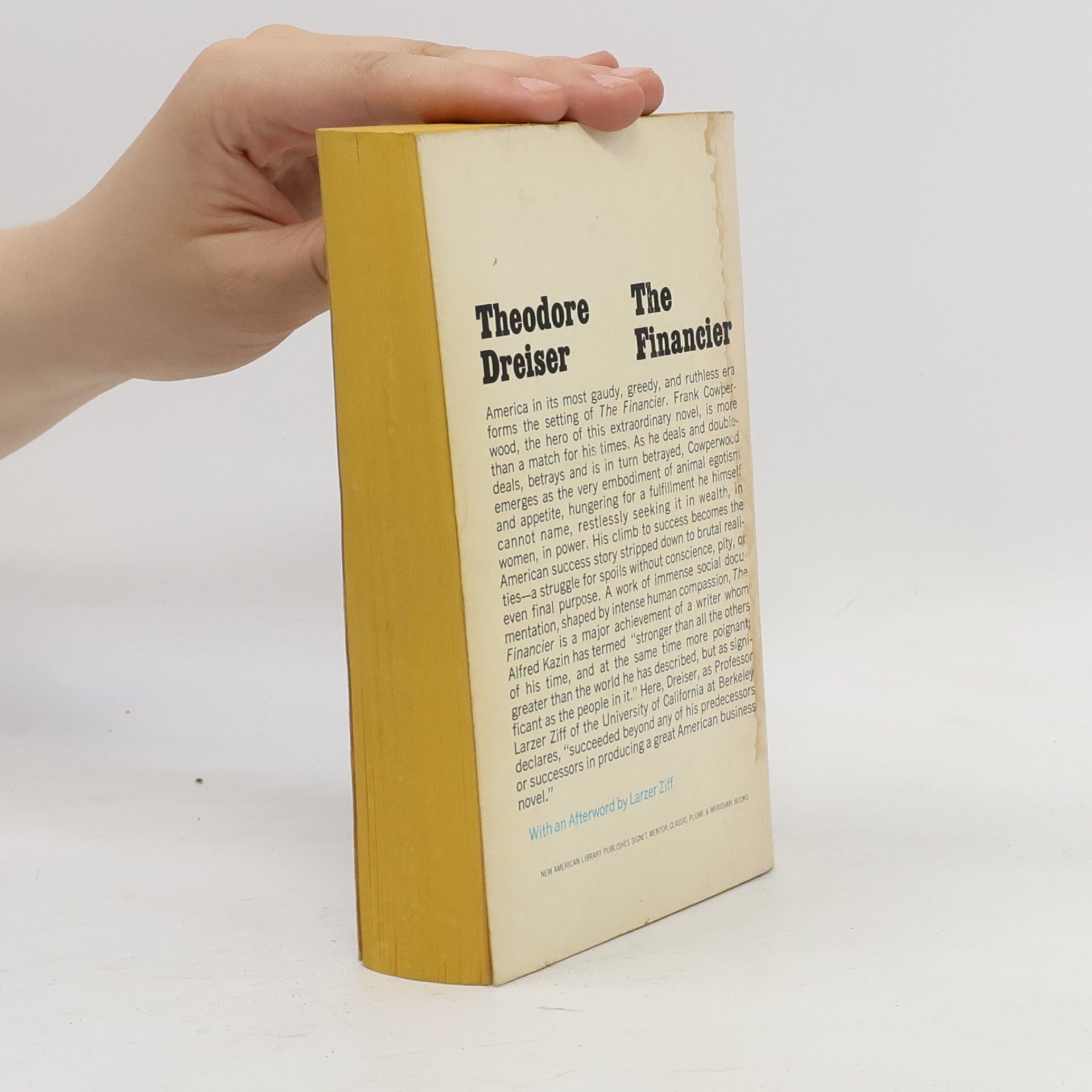 Theodore Dreiser The Financier