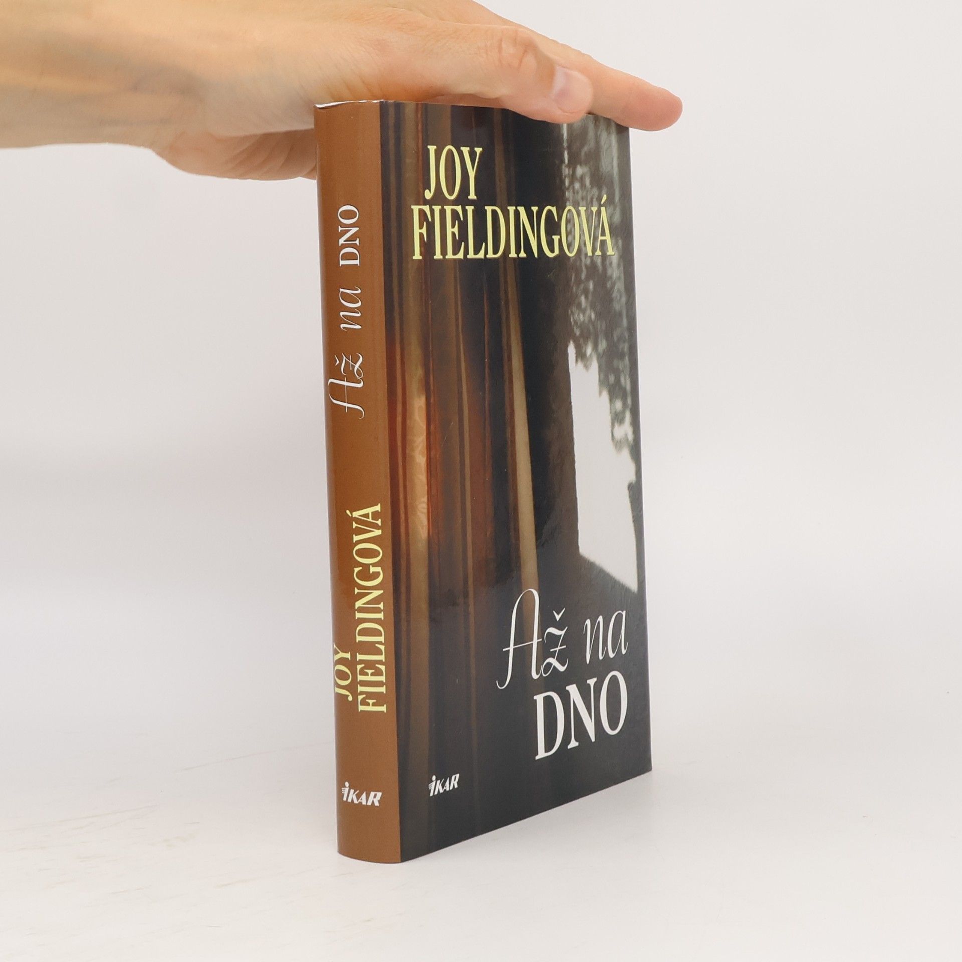 Joy Fielding Až na dno