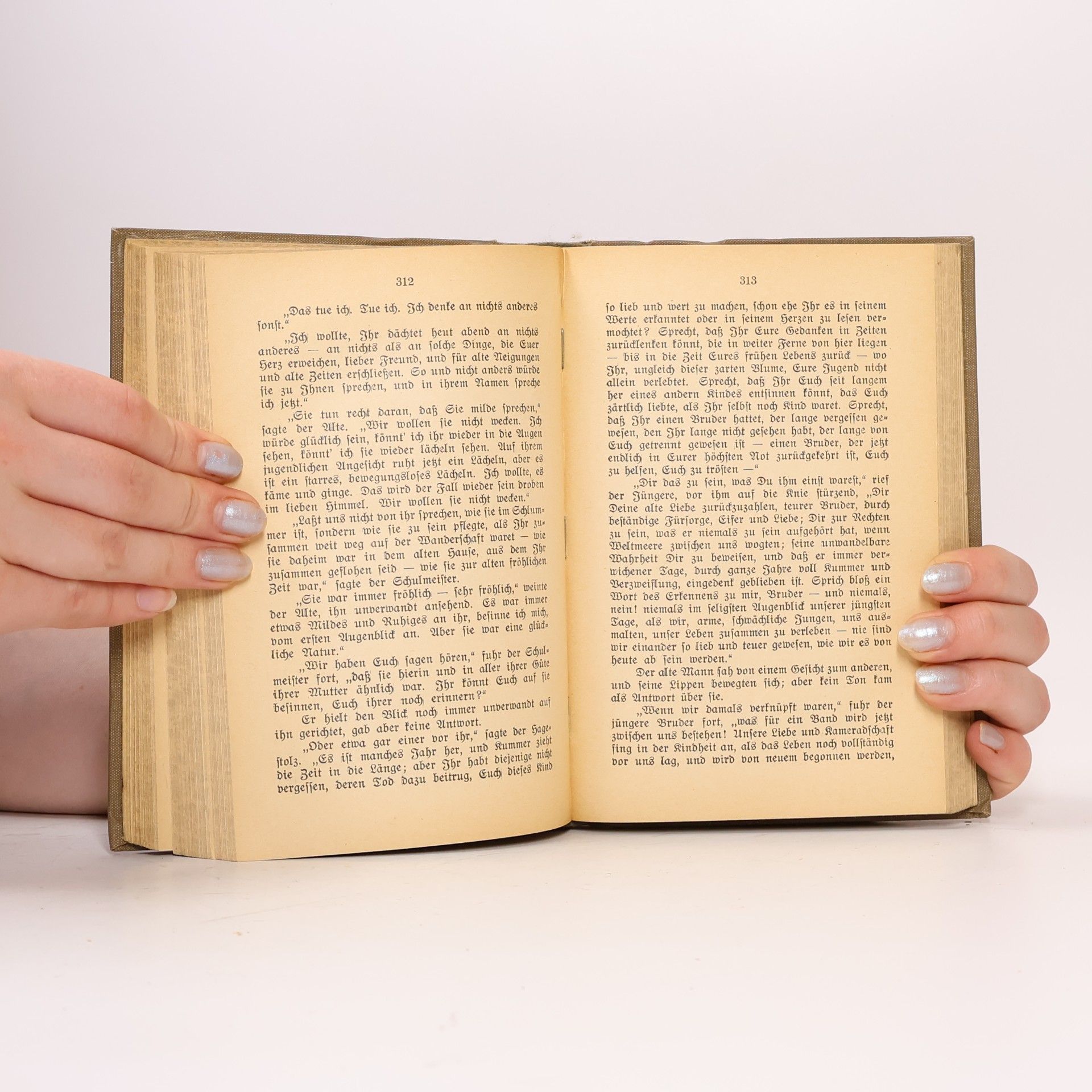 Charles Dickens Der alte Raritätenladen 2