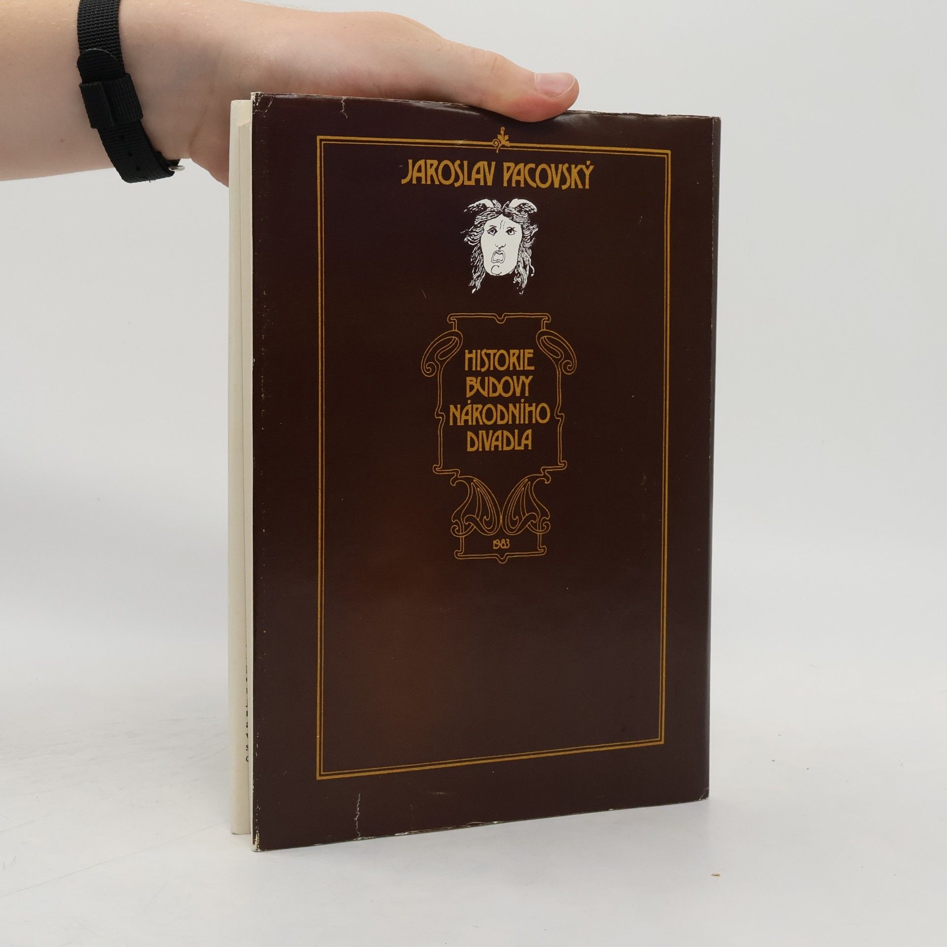 Jaroslav Pacovský Historie budovy Národního divadla