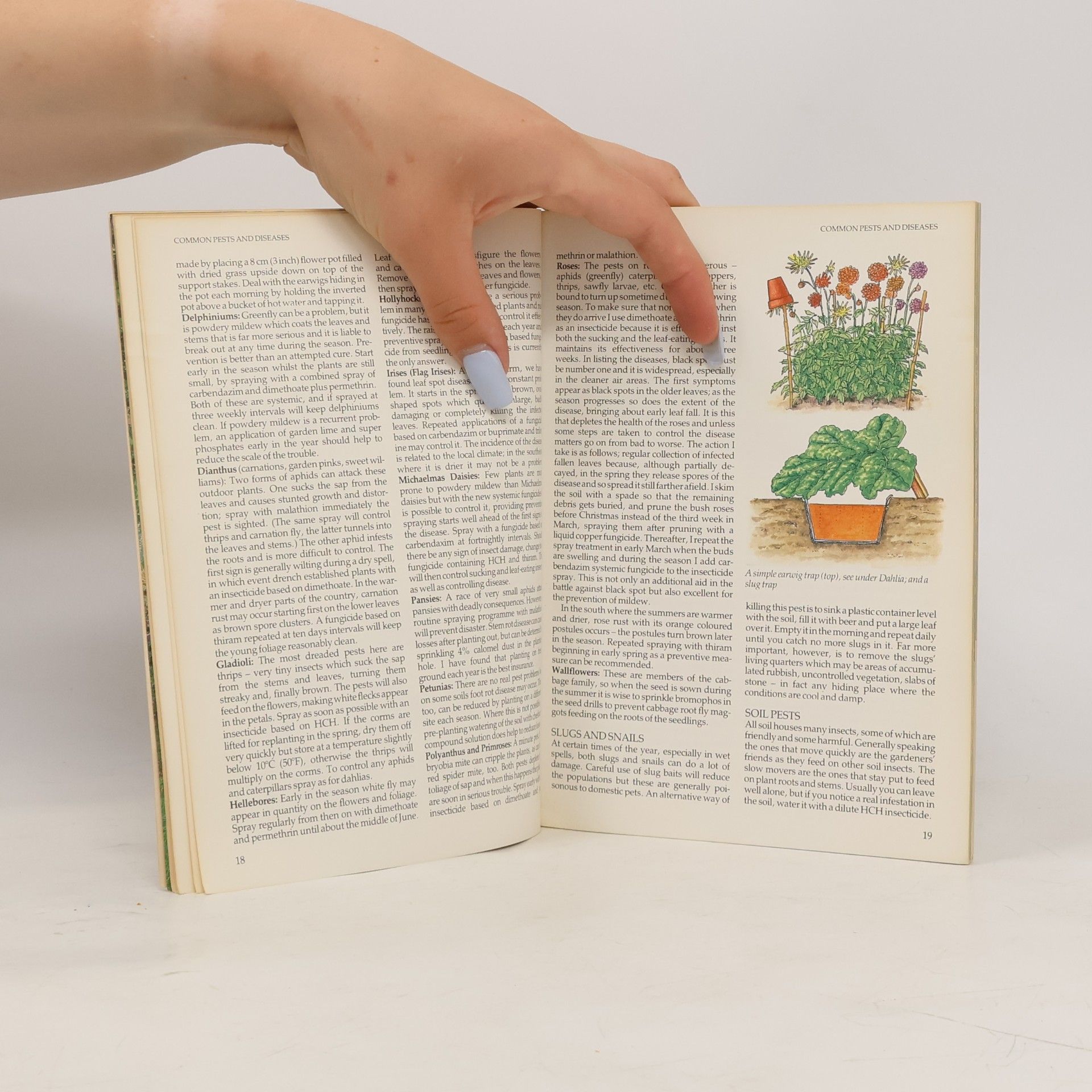 Arthur Billitt Sainsbury's Homebase Guide to Flower Gardening