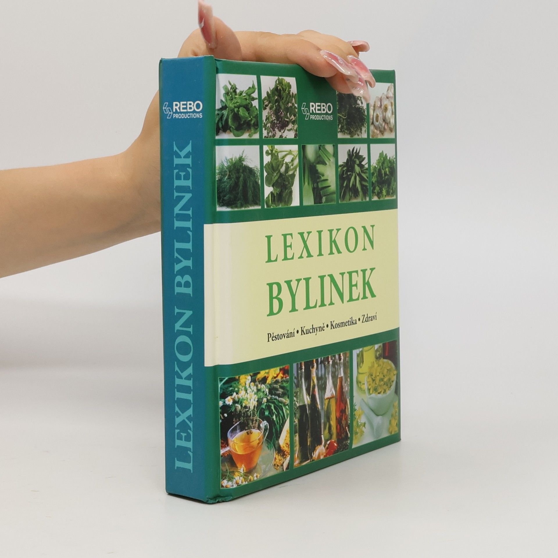 Andrea Rausch Lexikon bylinek