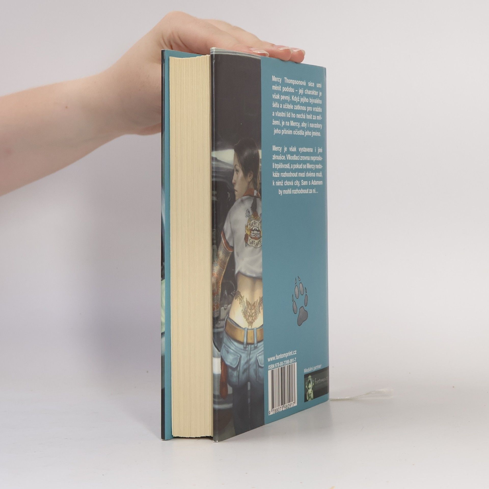 Patricia Briggs Železný polibek