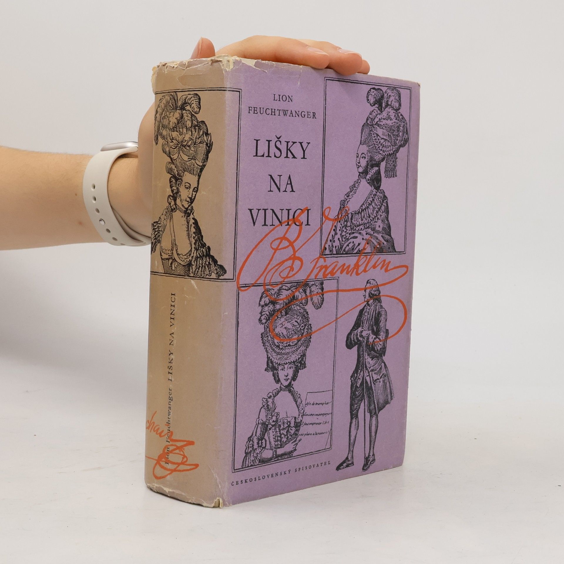 Lion Feuchtwanger Lišky na vinici