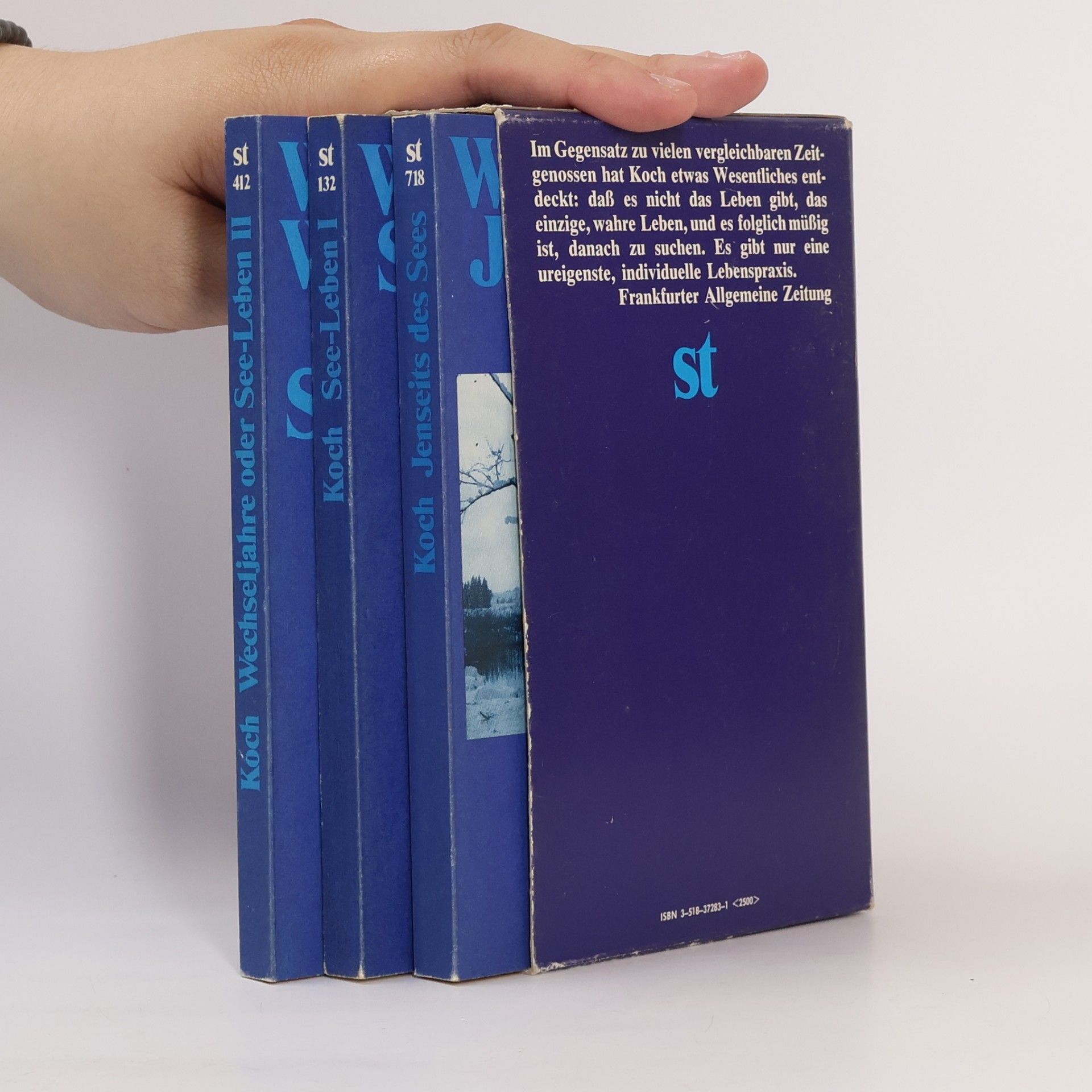 Werner Koch See-Leben I + II, Jenseits des Sees