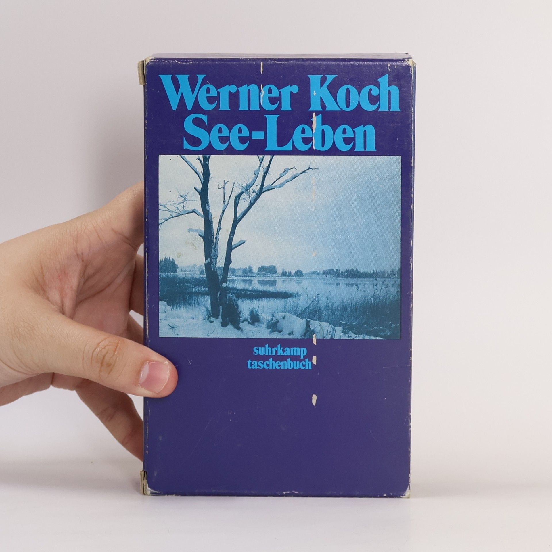 Werner Koch See-Leben I + II, Jenseits des Sees