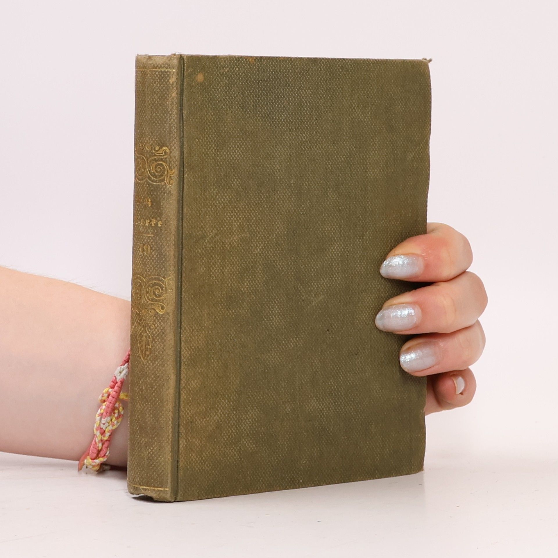 Sämmtliche Werke von Charles Dickens, genannt Boz 19