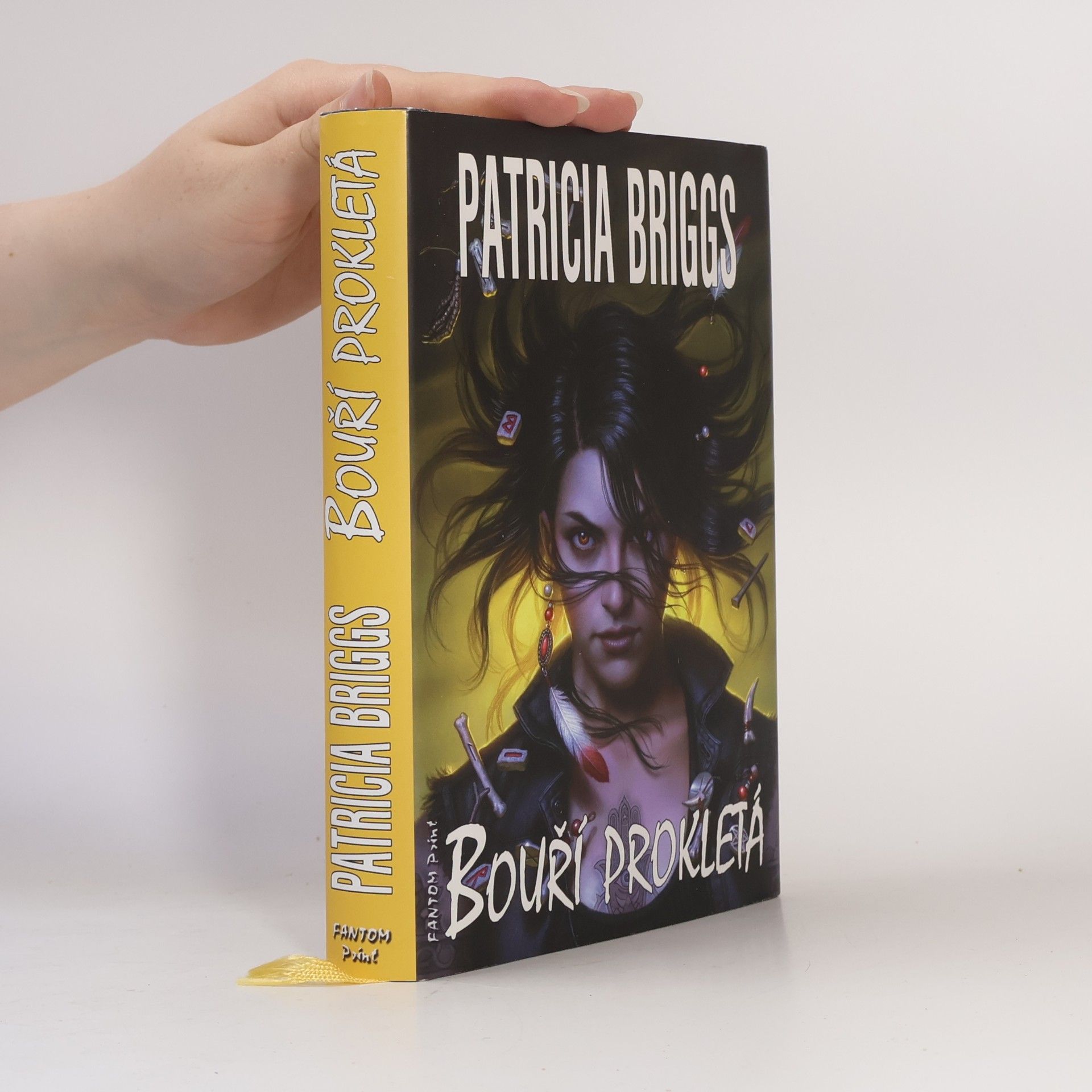 Patricia Briggs Bouří prokletá