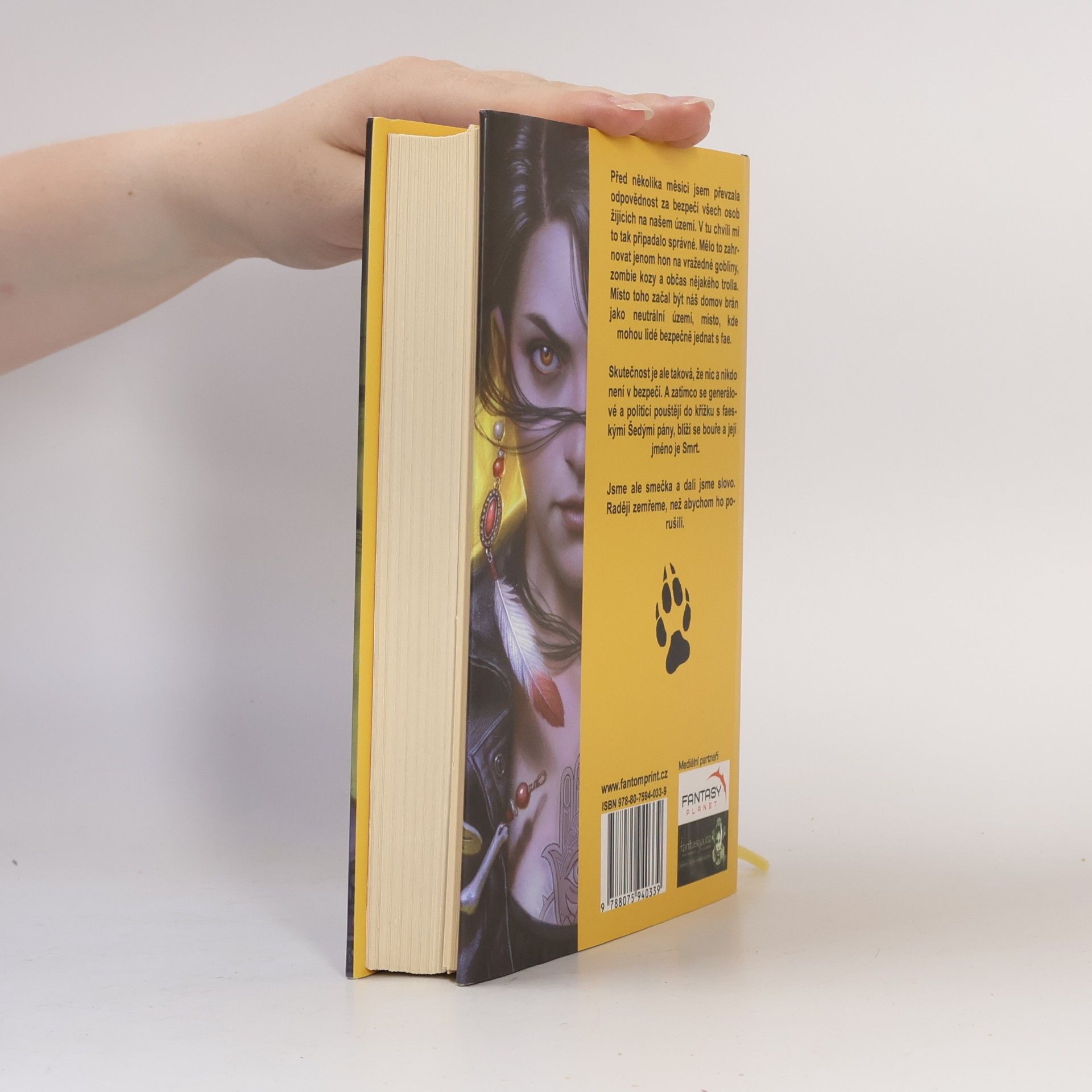 Patricia Briggs Bouří prokletá