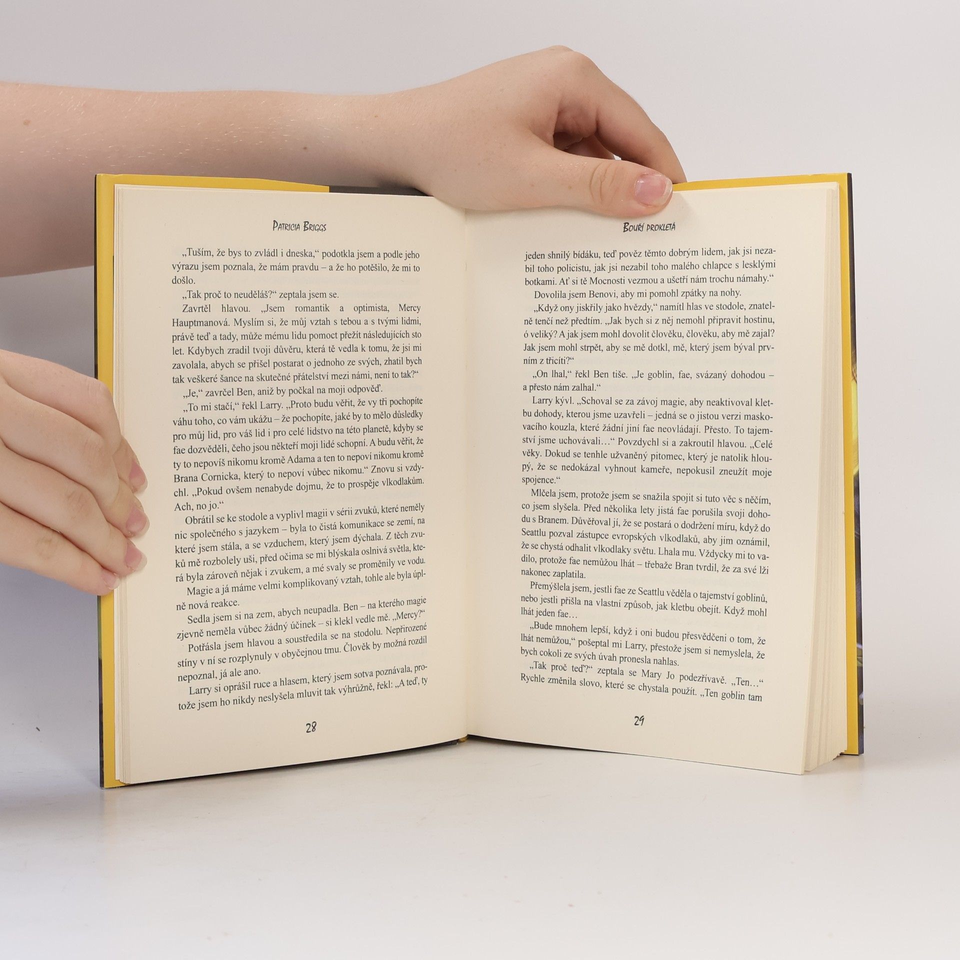 Patricia Briggs Bouří prokletá