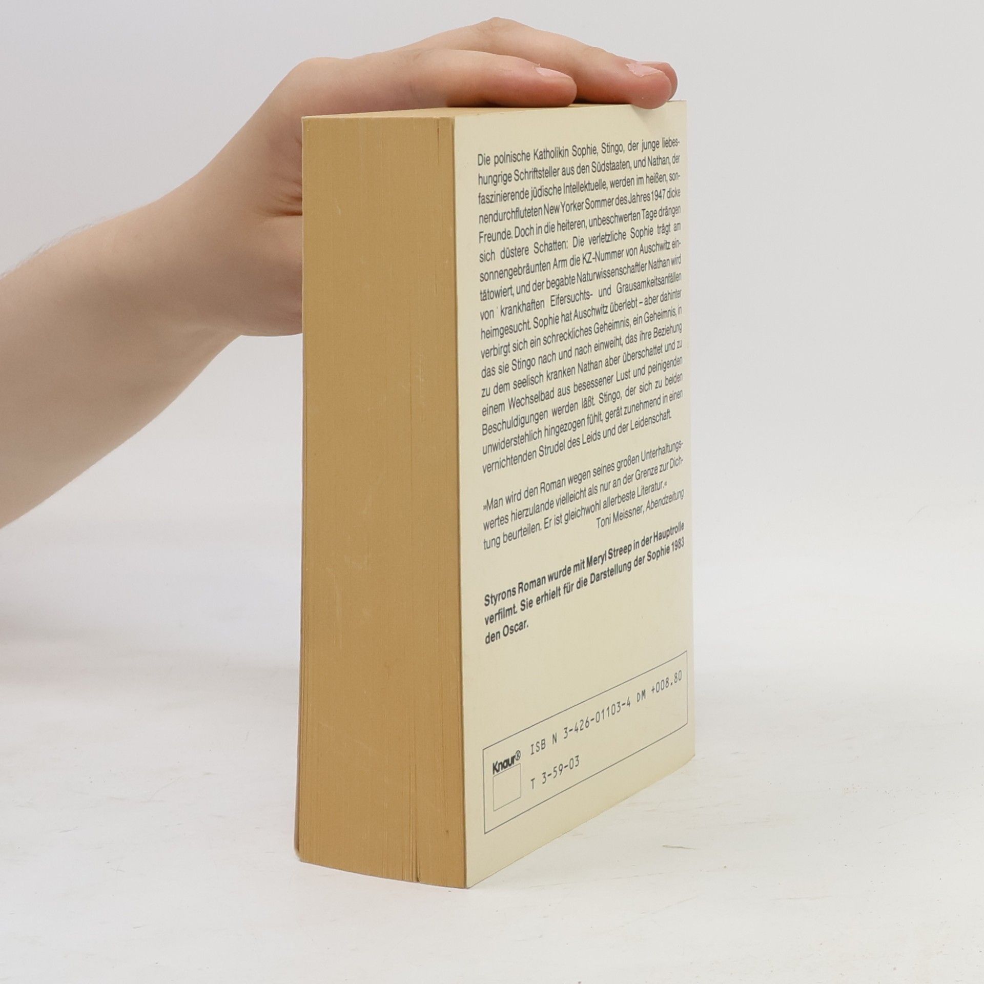 William Styron Sophie's Entscheidung