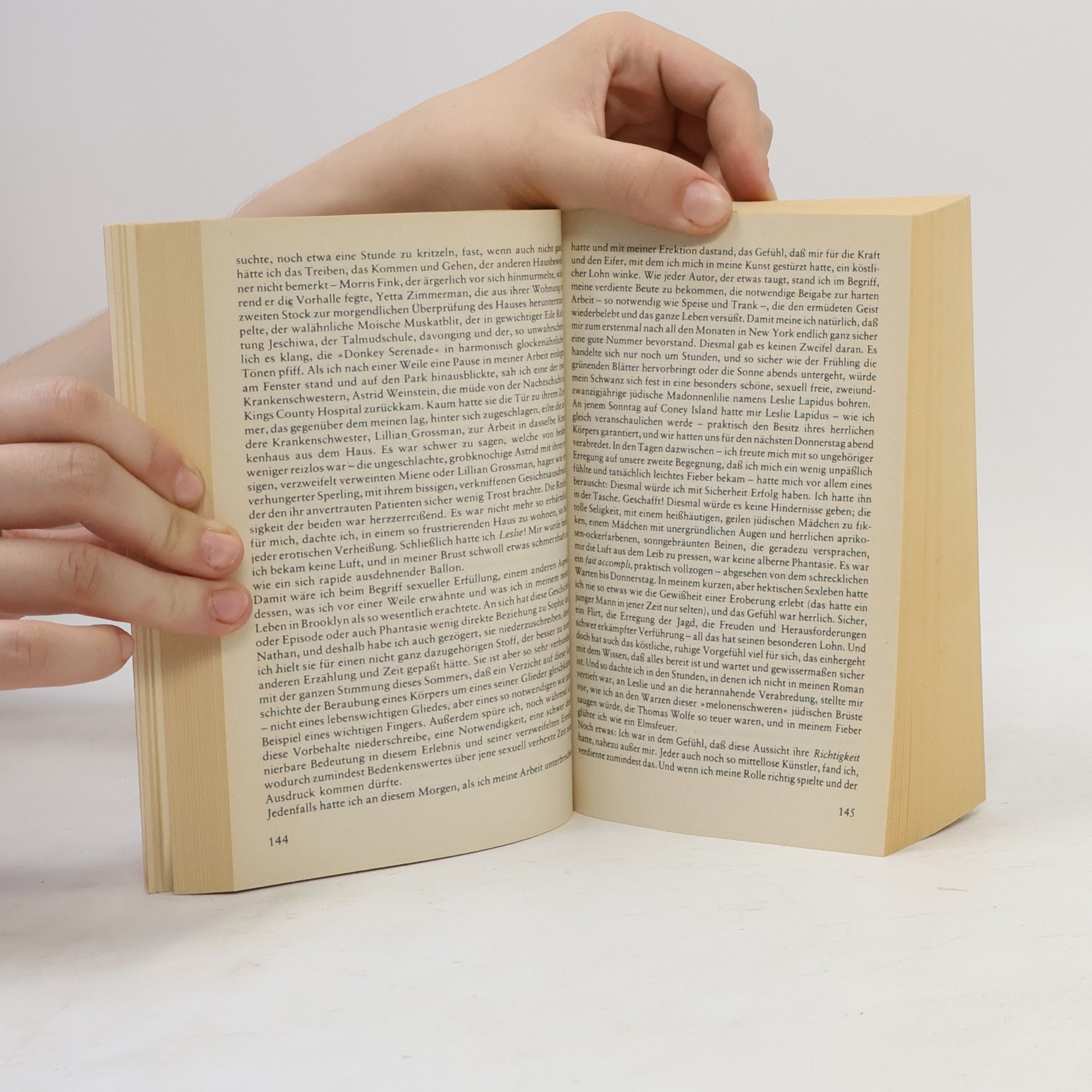 William Styron Sophie's Entscheidung