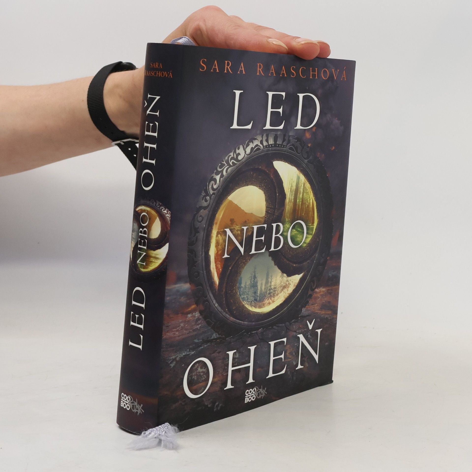 Sara Raasch Led nebo oheň