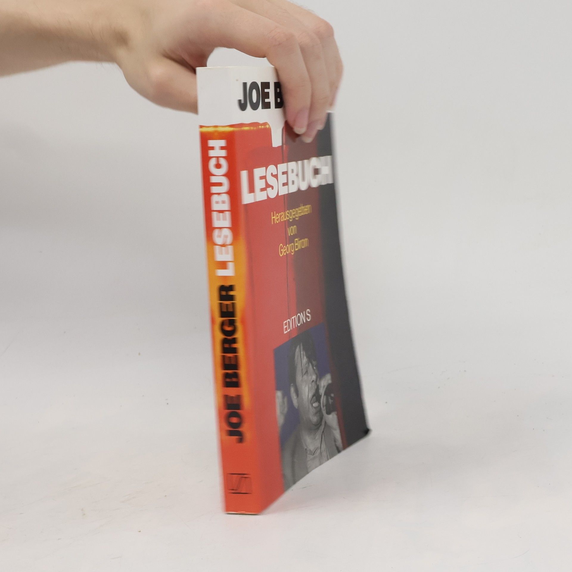 Georg Biron Joe Berger Lesebuch