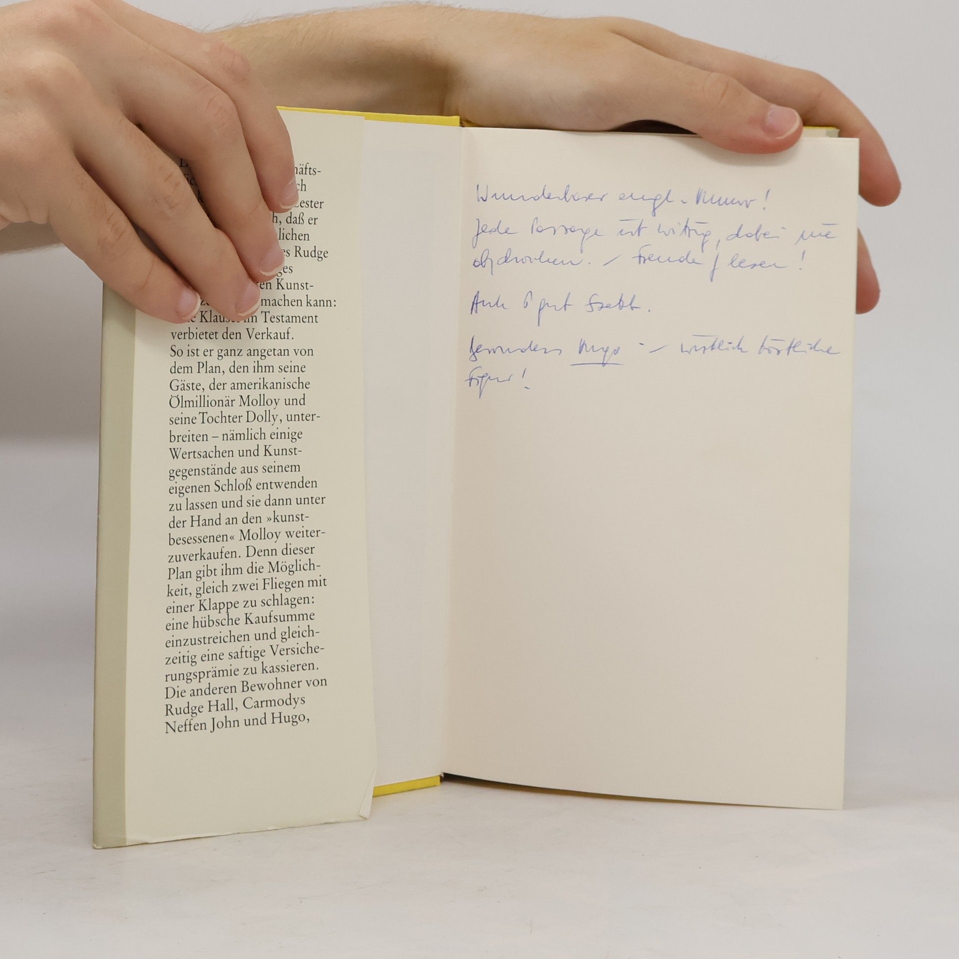 Pelham Wodehouse Grosse Liebe kleine Diebe