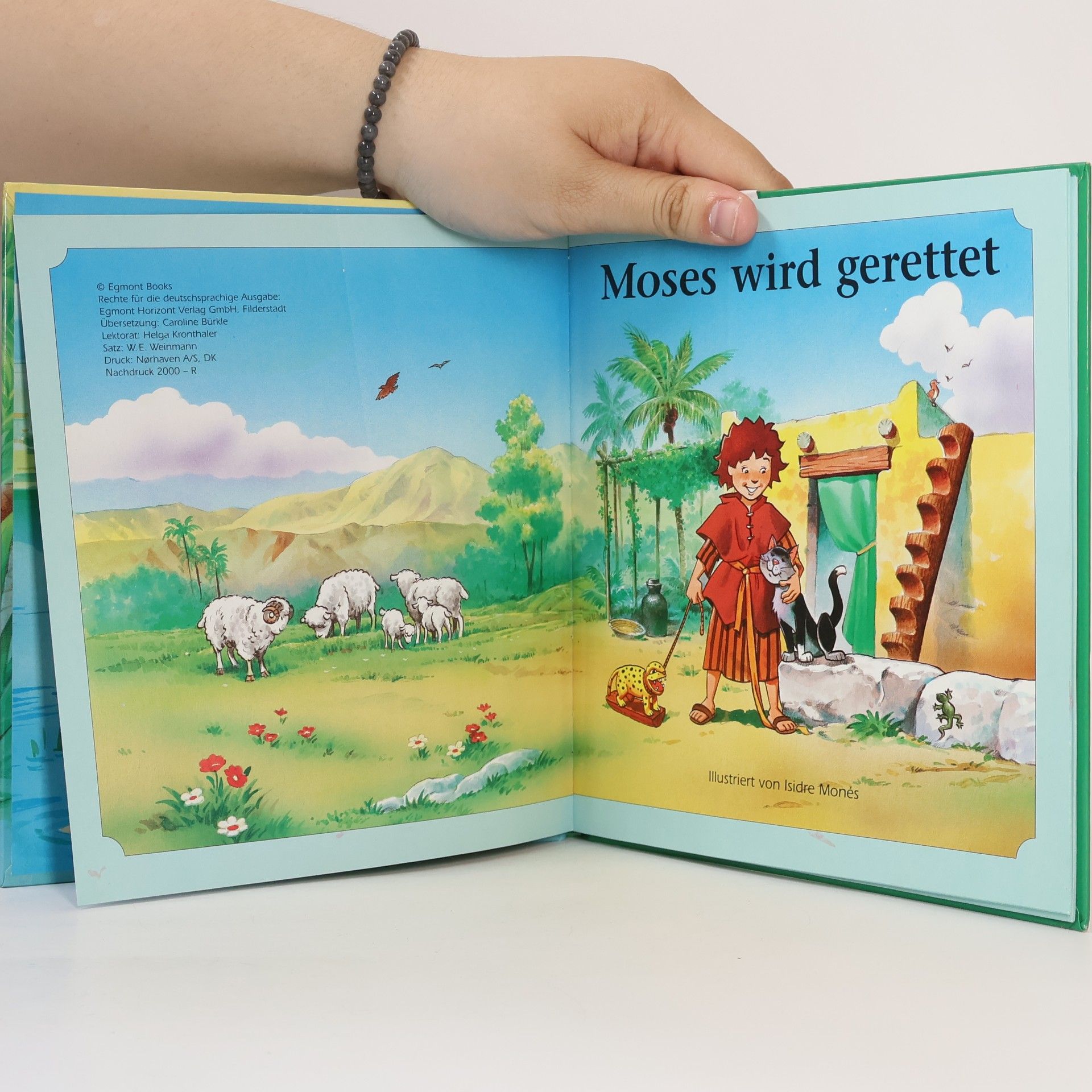 Autorenkollektiv Moses wird gerettet