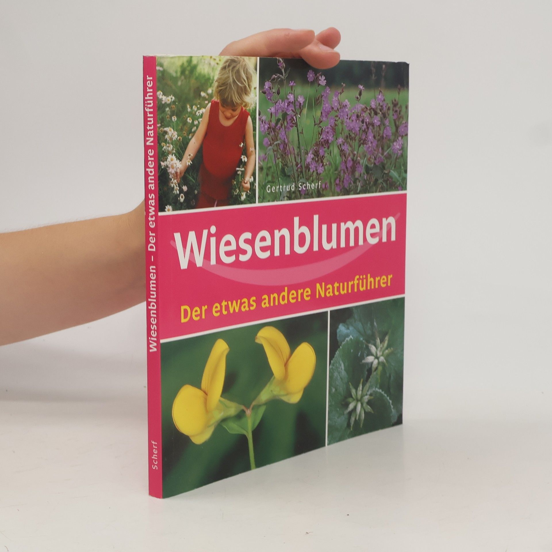 Gertrud Scherf Wiesenblumen: Der etwas andere Naturführer