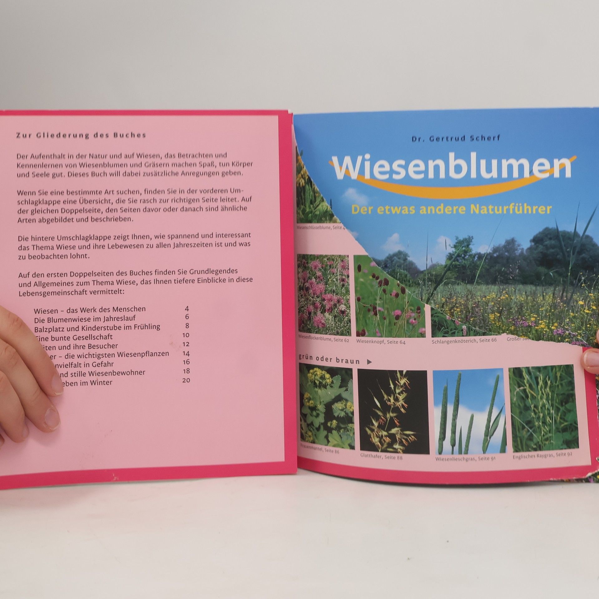 Gertrud Scherf Wiesenblumen: Der etwas andere Naturführer