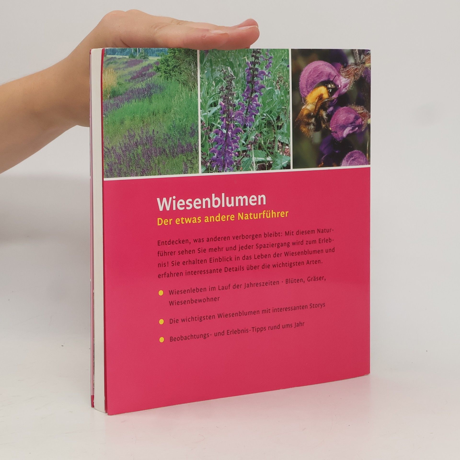 Gertrud Scherf Wiesenblumen: Der etwas andere Naturführer