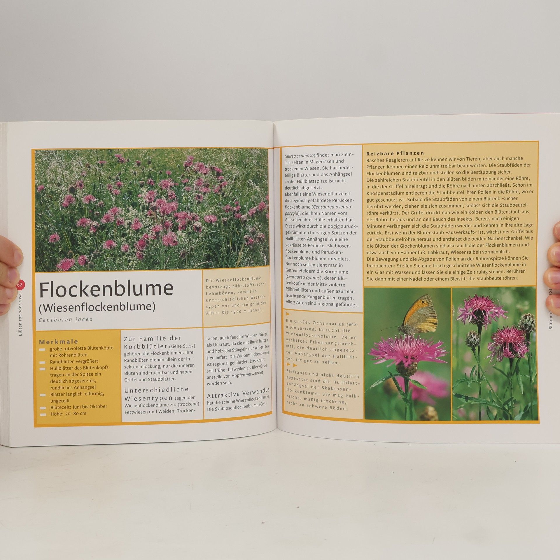 Gertrud Scherf Wiesenblumen: Der etwas andere Naturführer