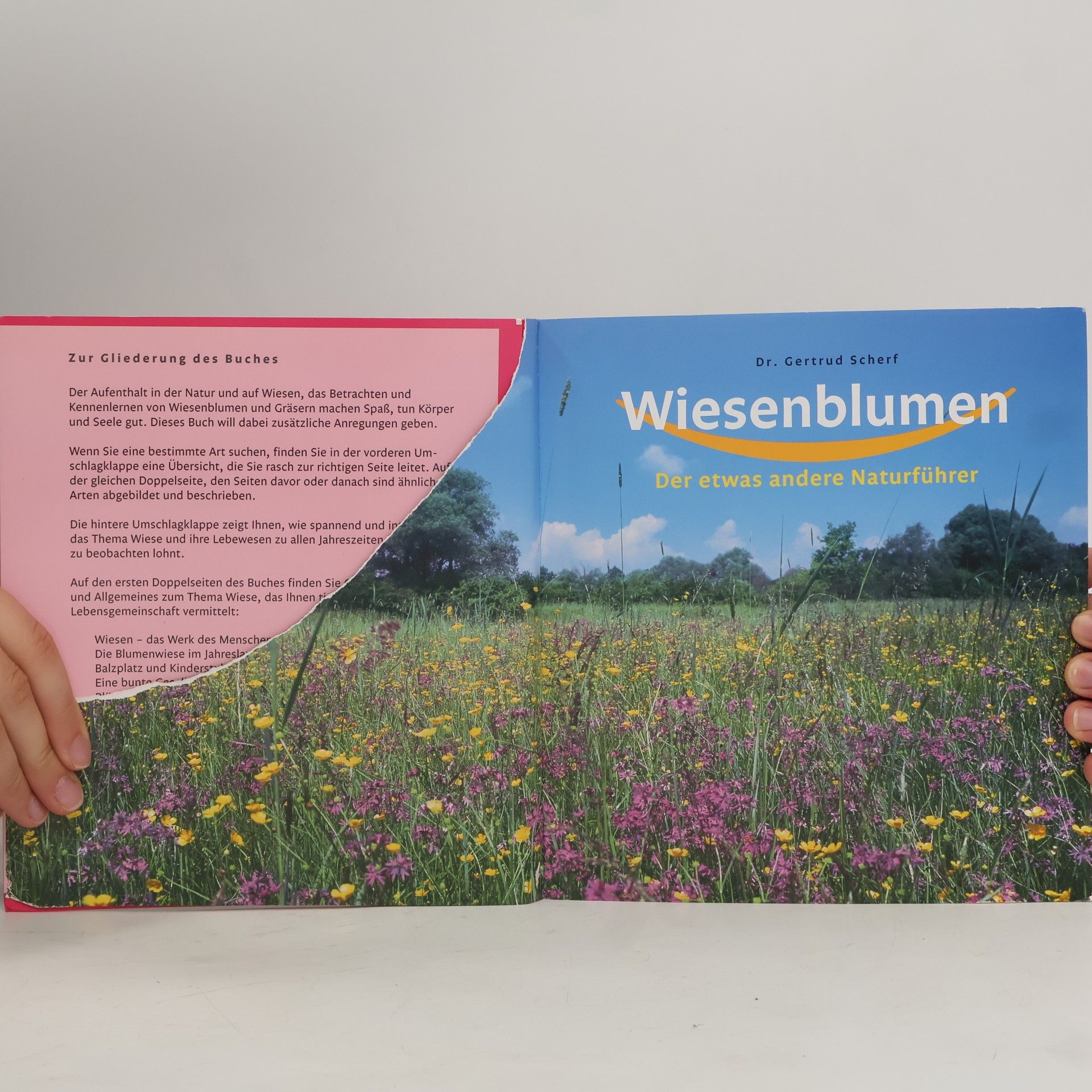 Gertrud Scherf Wiesenblumen: Der etwas andere Naturführer