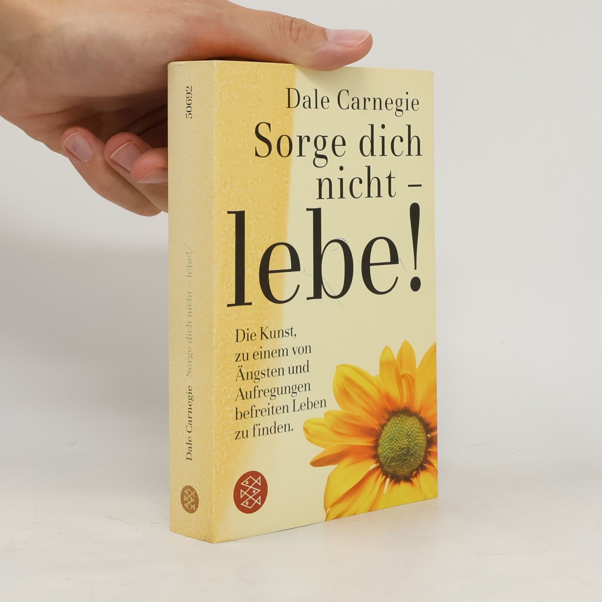 Dale Carnegie Sorge dich nicht - lebe!