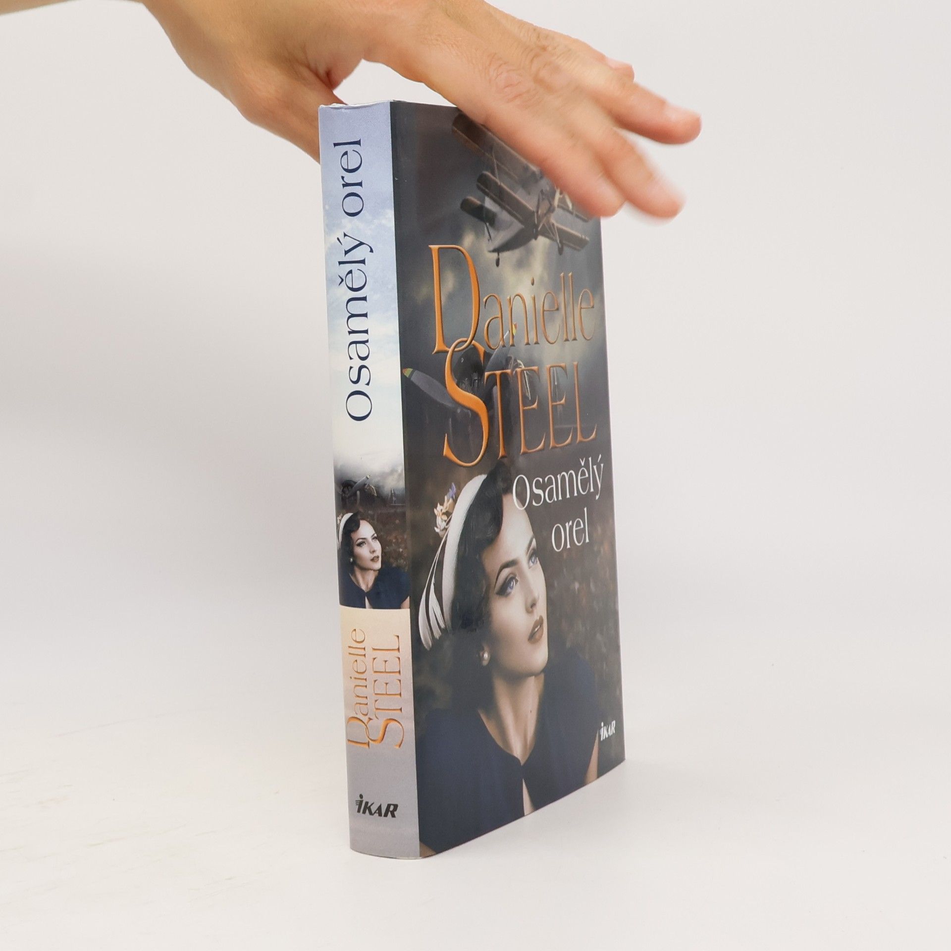 Danielle Steel Osamělý orel