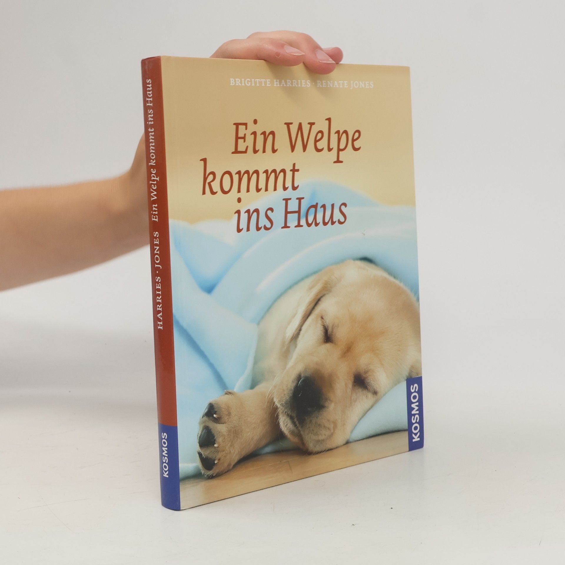 Ein Welpe kommt ins Haus