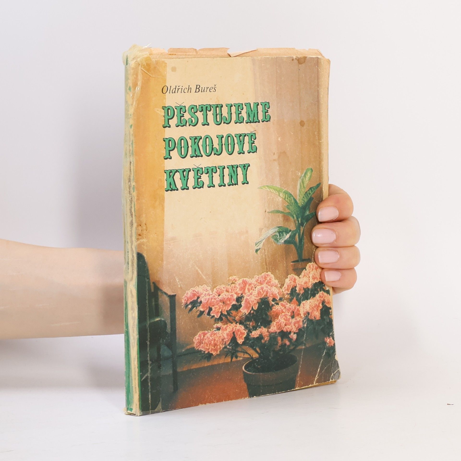 Oldřich Bureš Pěstujeme pokojové květiny