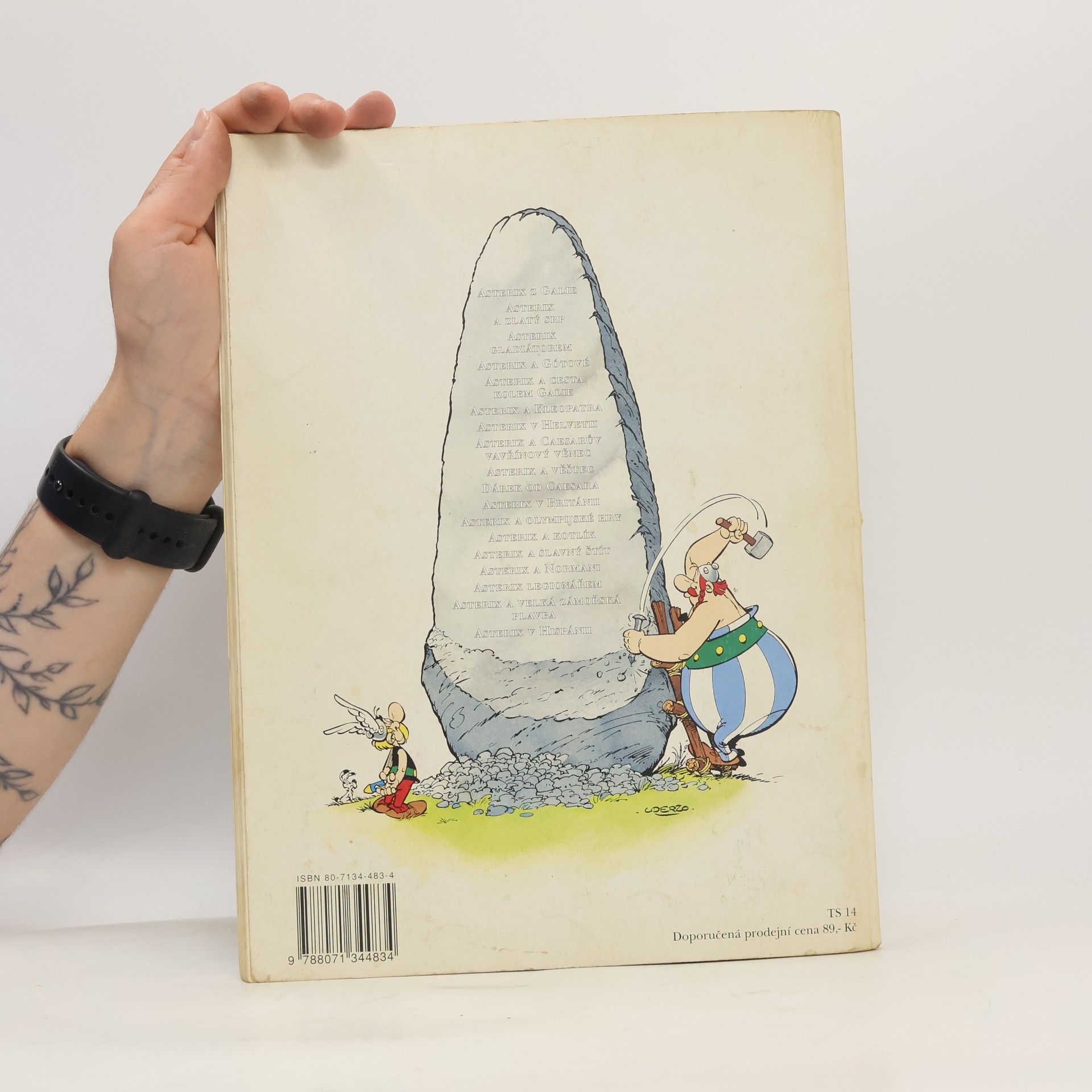 René Goscinny Asterix a cesta kolem Galie Díl V.