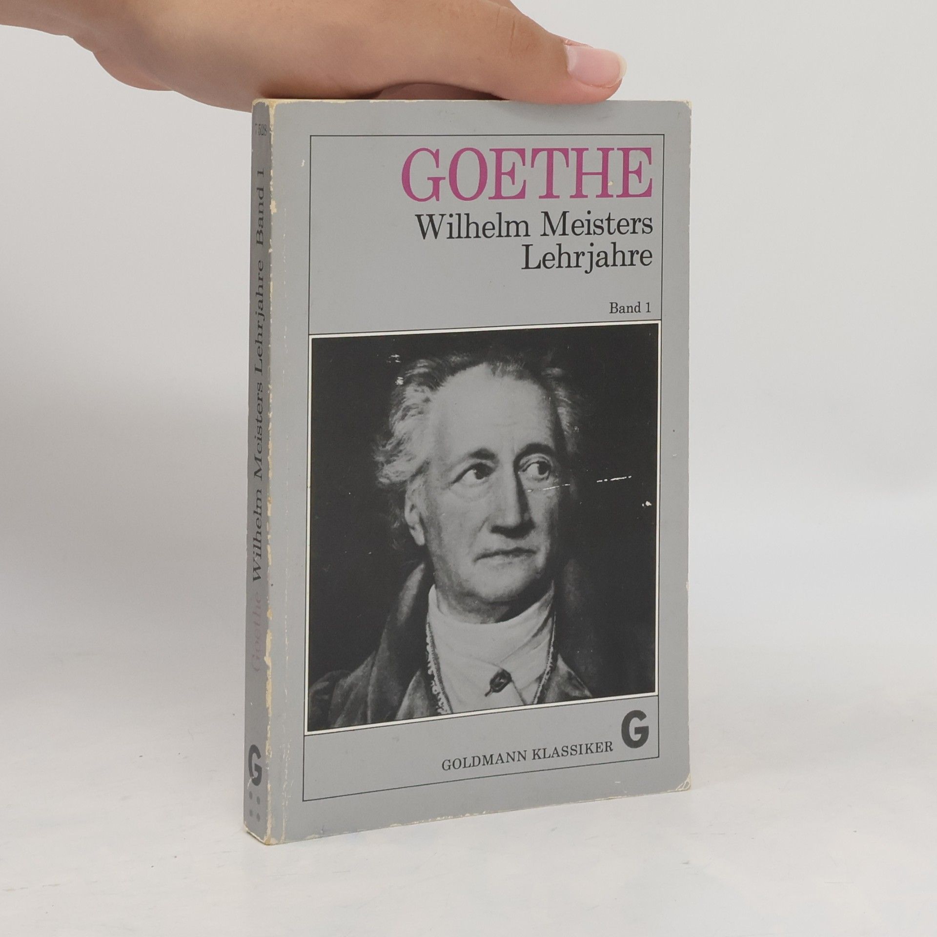 Johann Wolfgang von Goethe Wilhelm Meisters Lehrjahre