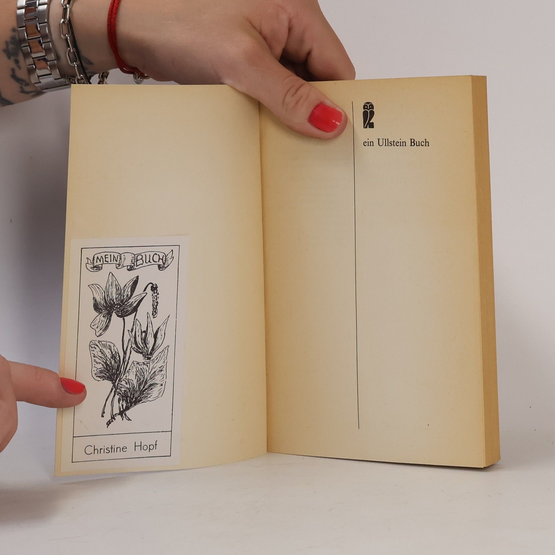 Jorge Luis Borges Universalgeschichte der Niedertracht und andere Prosastücke