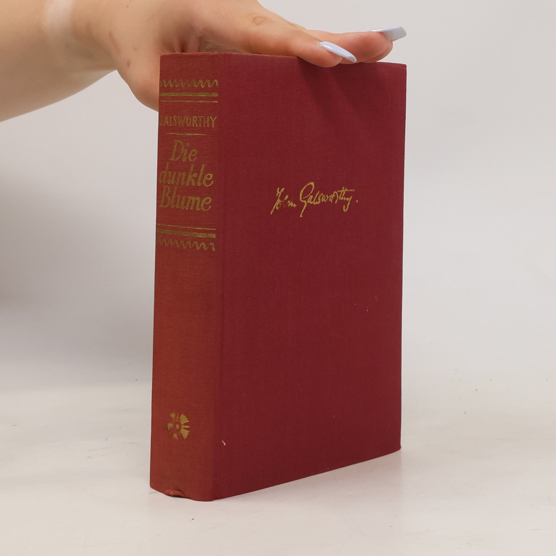 John Galsworthy Die dunkle Blume