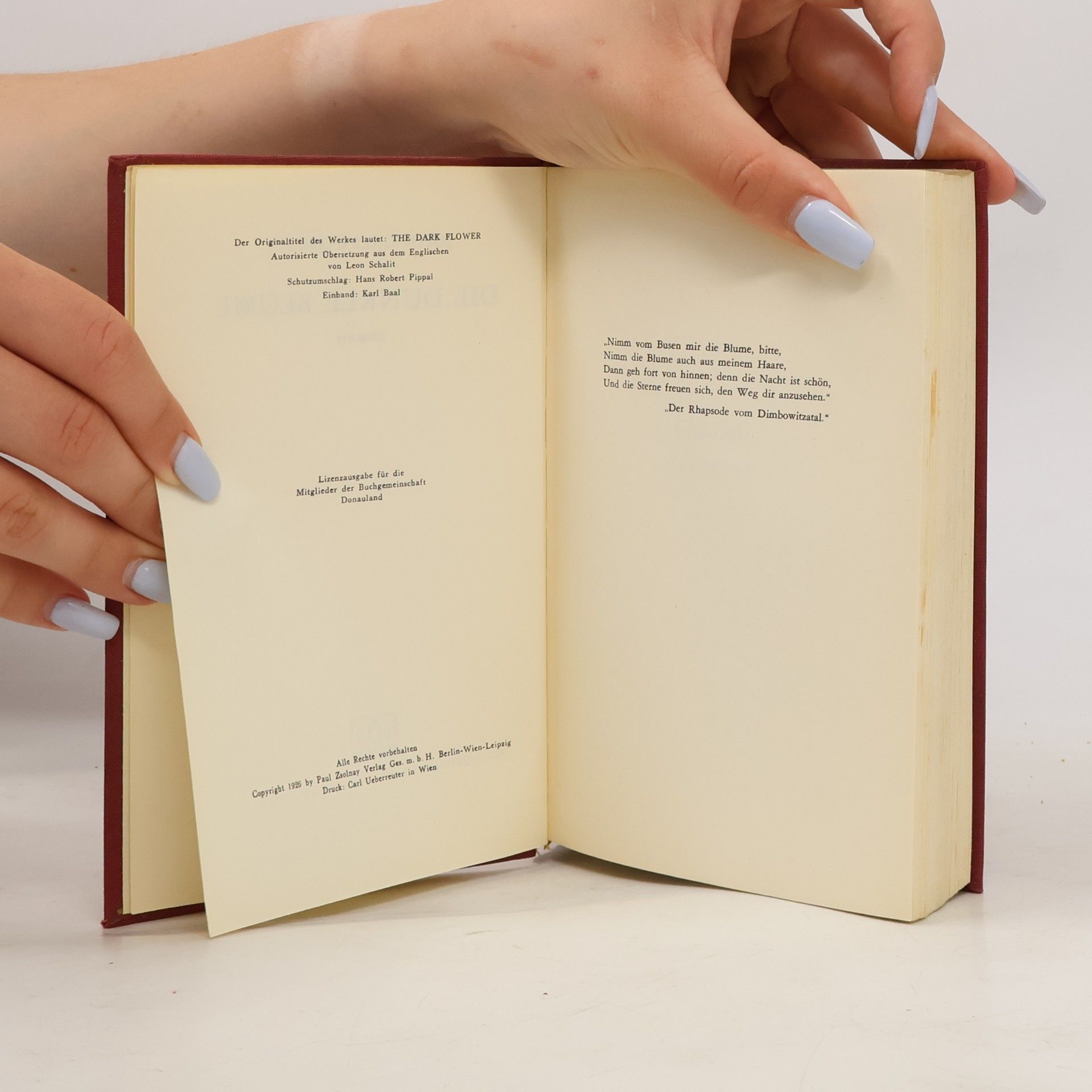 John Galsworthy Die dunkle Blume