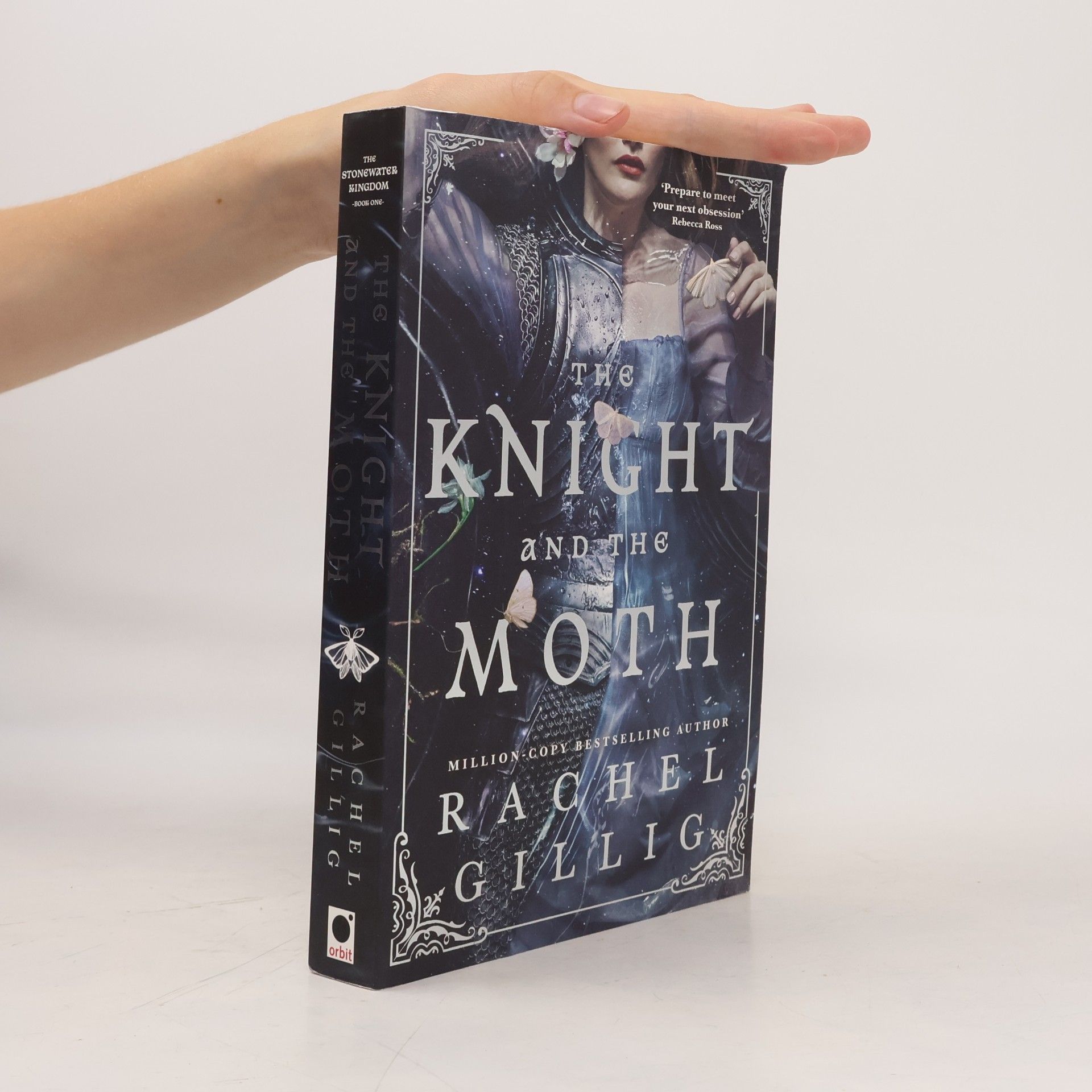 Rachel Gillig The Knight and the Moth