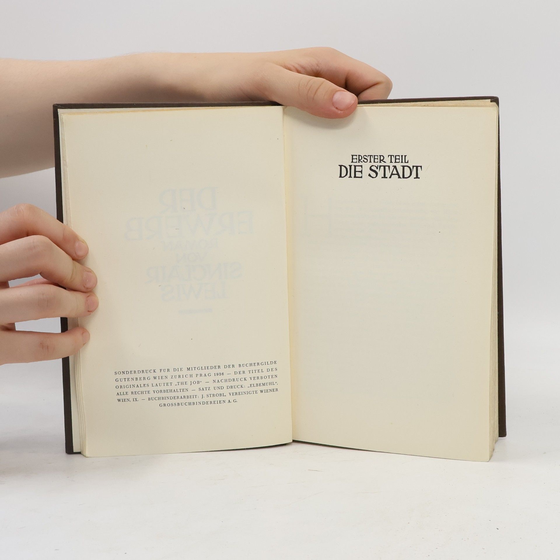 Sinclair Lewis Der Erwerb